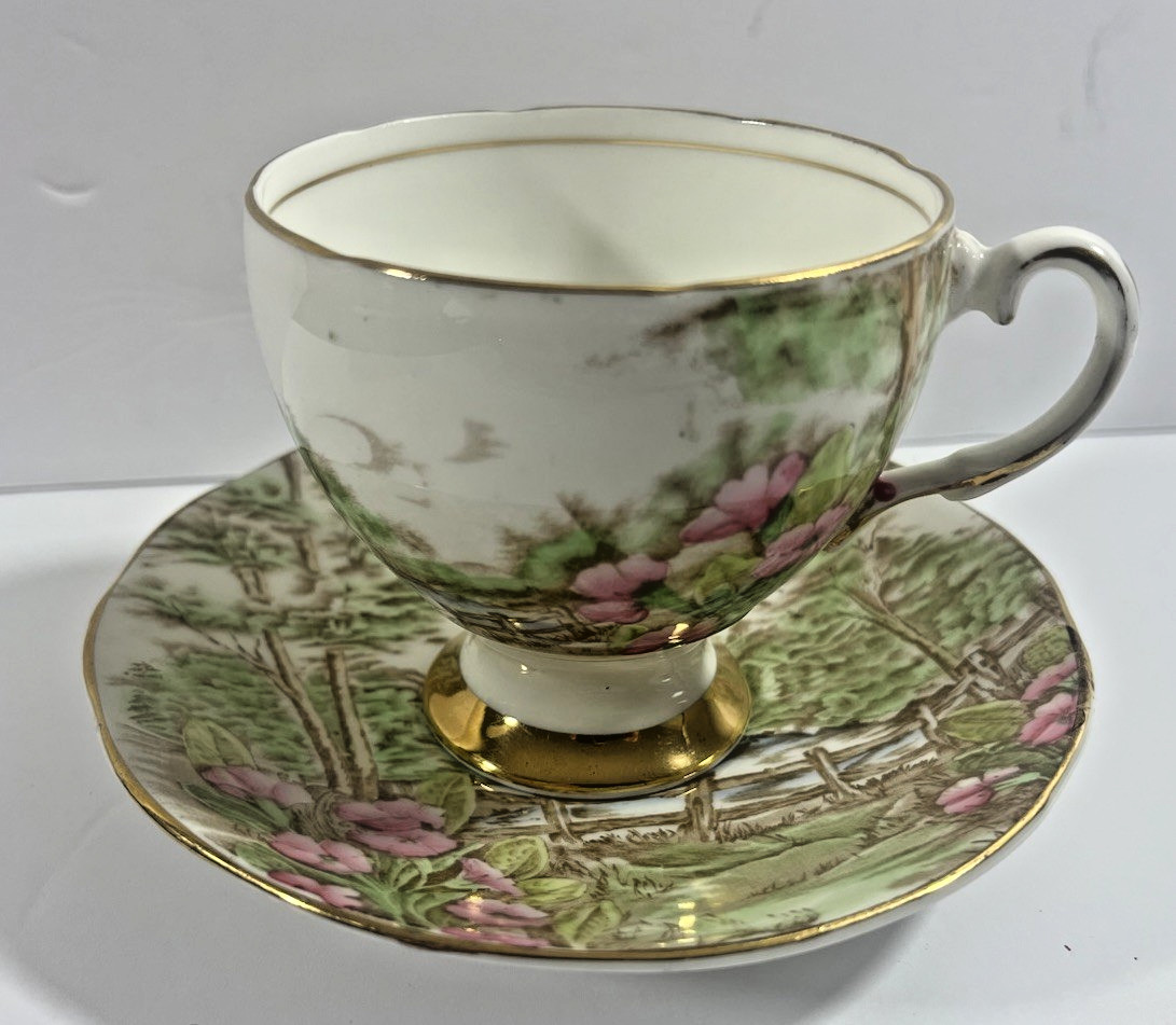 Vintage Salisbury Primrose Glen Gold Rimmed Bone China Tea Cup & Saucer