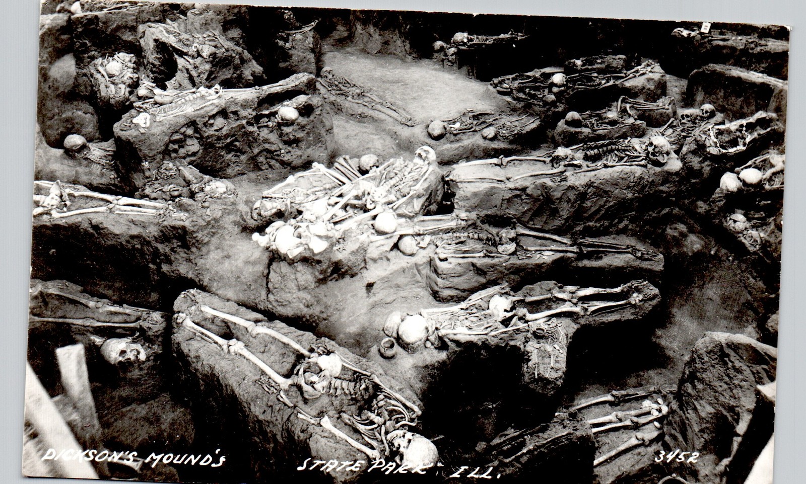 DICKSON\'S MOUNDS SP IL c1950 postcard illinois real photo rppc indian skeletons