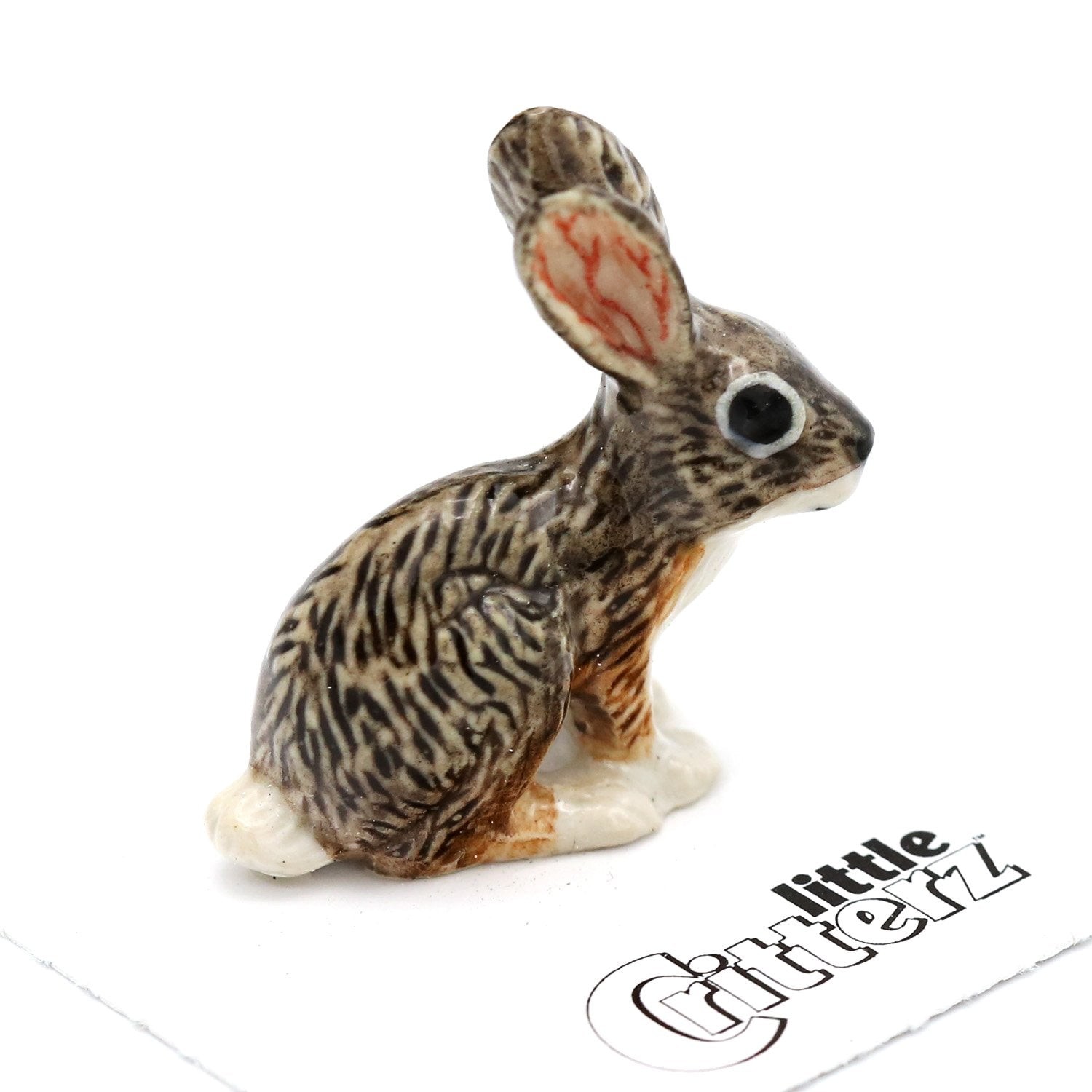 Little Critterz Rabbit - Jackrabbit \