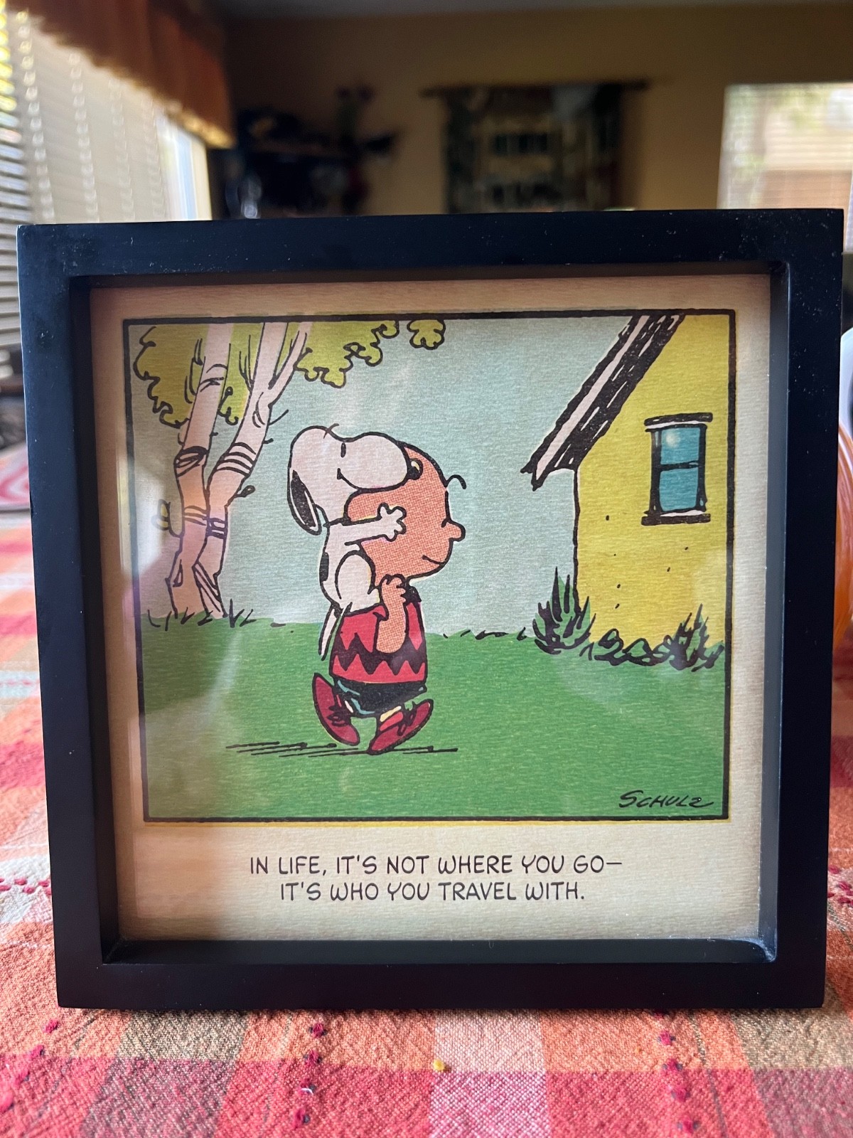 Hallmark Peanuts Charlie Brown Snoopy Framed Print Newspaper Comic Style 7\