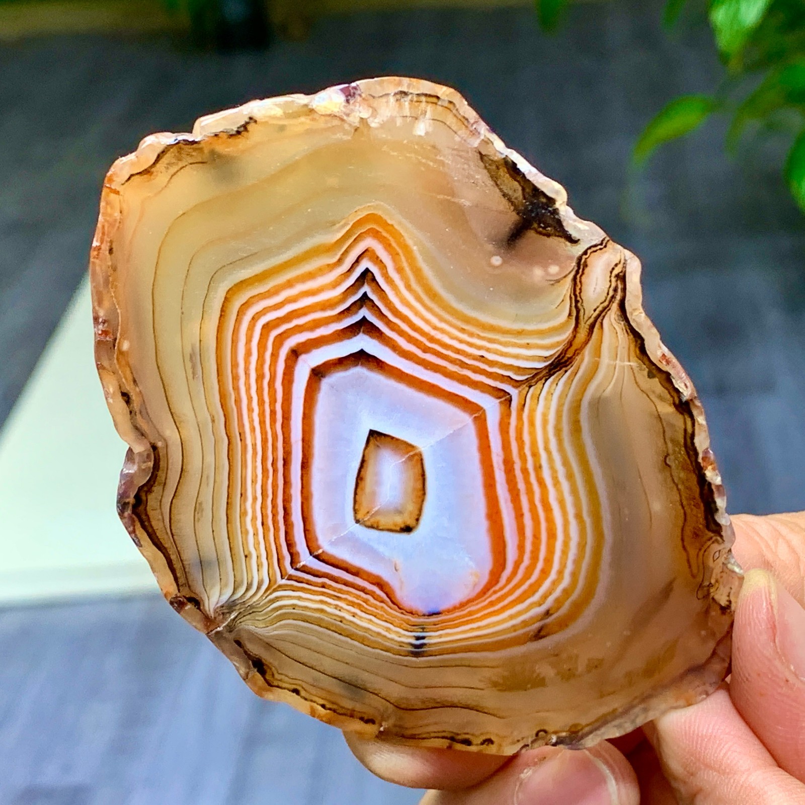 115G Natural Red Stripe Agate Slice Quartz Crystal  Slab Ore Specimen
