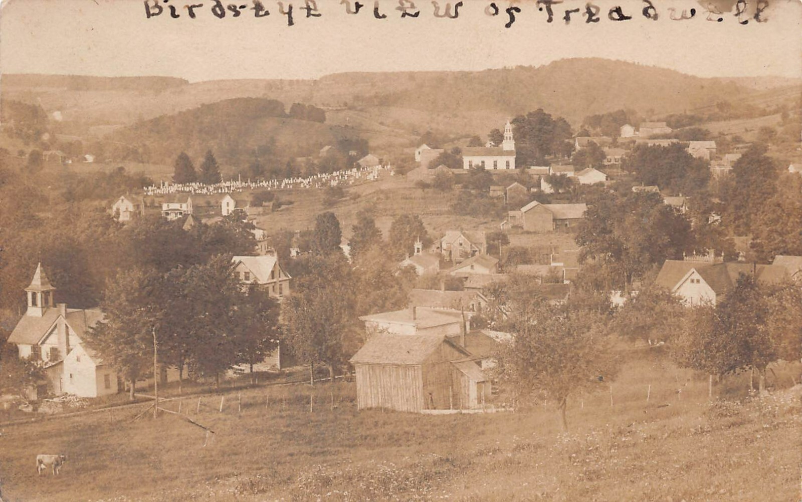 RPPC Treadwell NY New York Photo Oneonta Delaware County c1907 Vtg Postcard V3