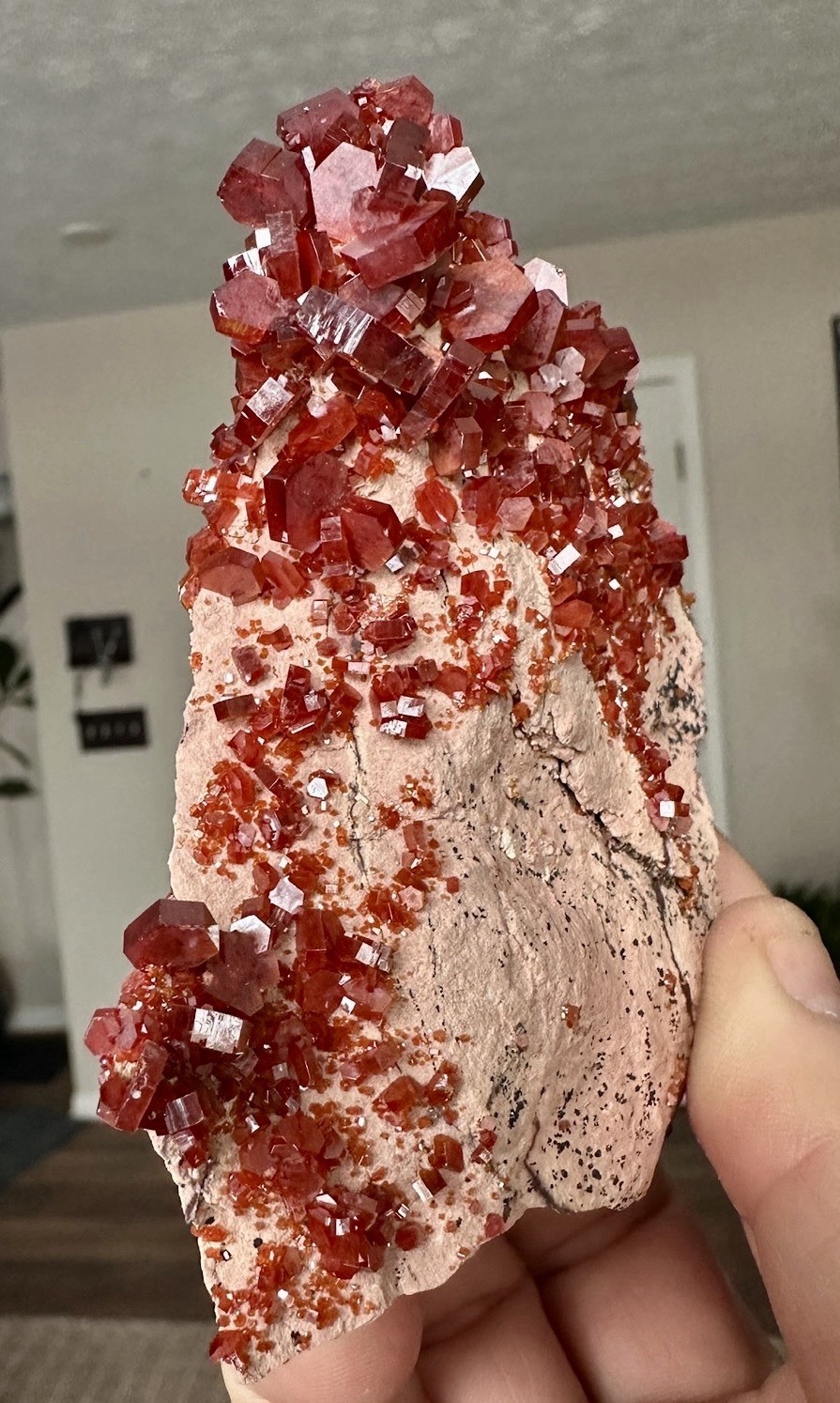 Vanadinite Large Bright Red Crystals On Matrix From ACF Mine Mibladen Morocco