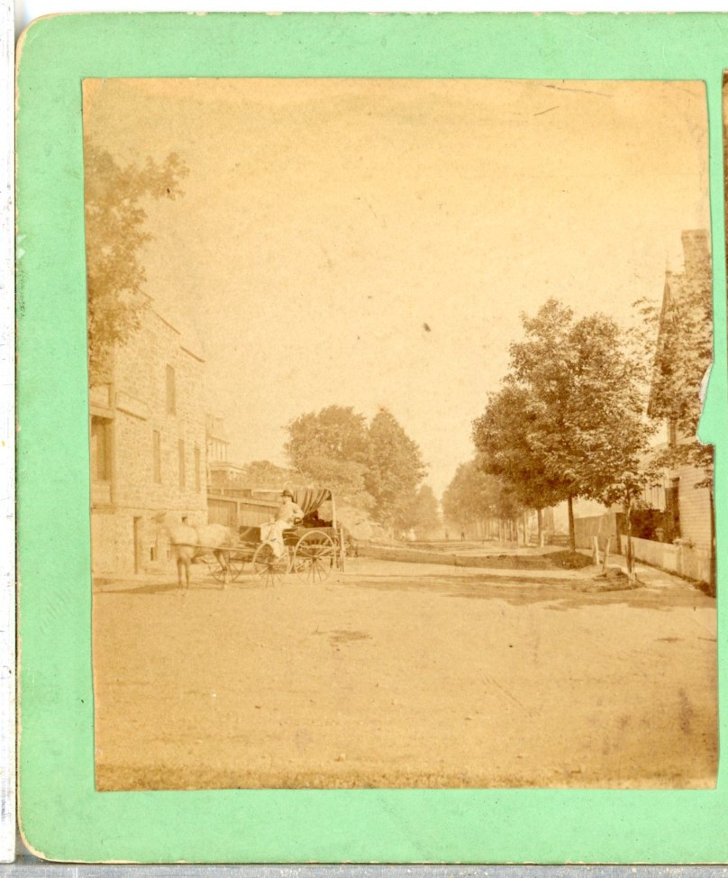 Horse Drawn Wagon On A Tree Lined Street. Maybe New York?--Stereoview S48