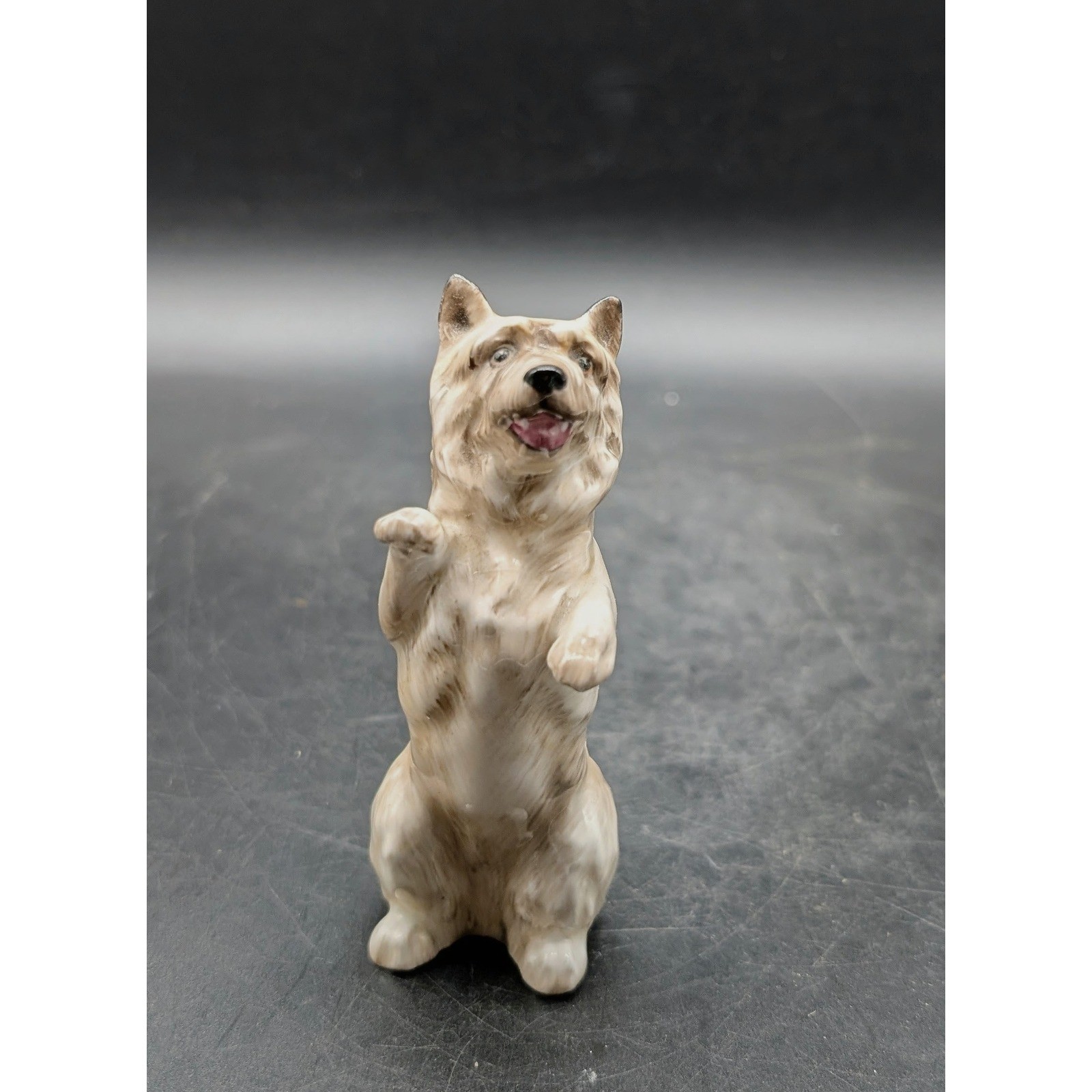 Royal Doulton Cairn Terrier Begging Dog Figurine HN2589 England Bone China 3\