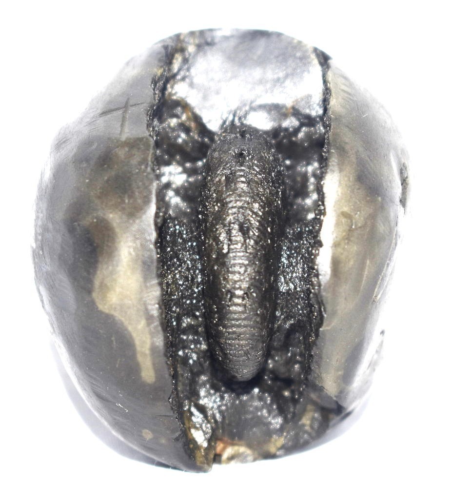 Sacred Adwaitya Pratyangira Devi Golden Mahakali Shaligram - Gandaki River Nepal