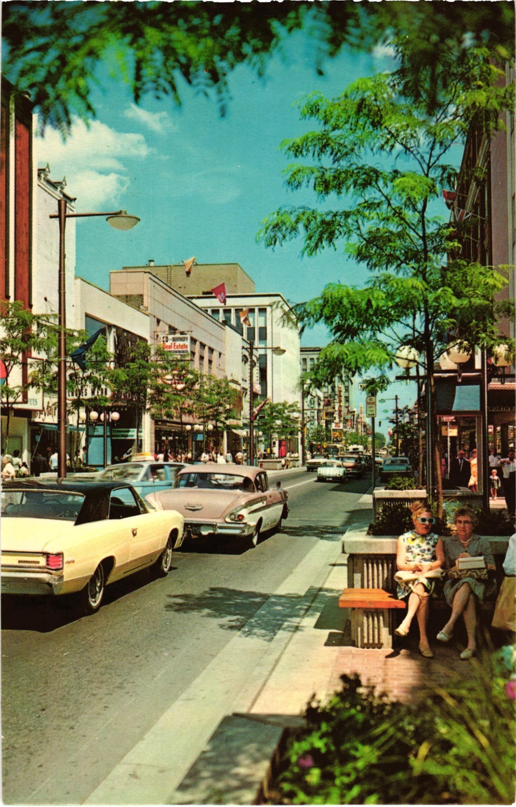 Dundas Street West of Market Lane, Looking East Postcard Unposted