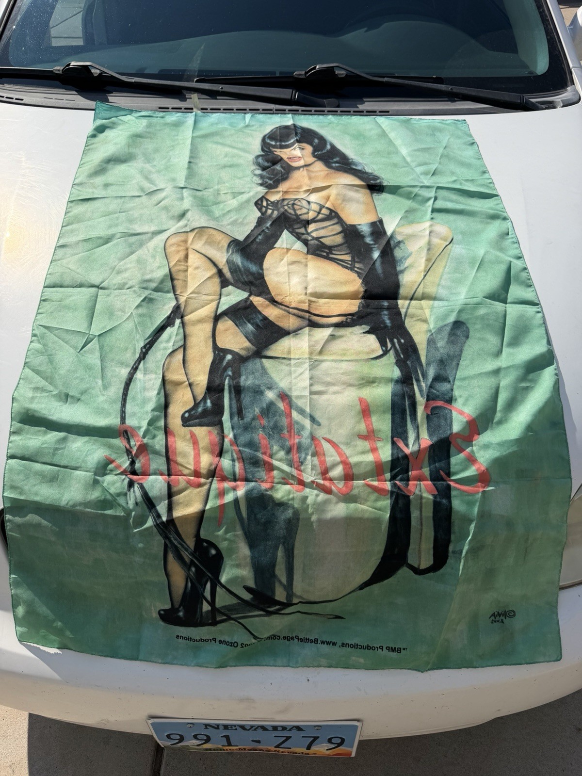 Vintage 2002 Bettie Page BMP Productions 30x40 Wall Banner Fabric Poster