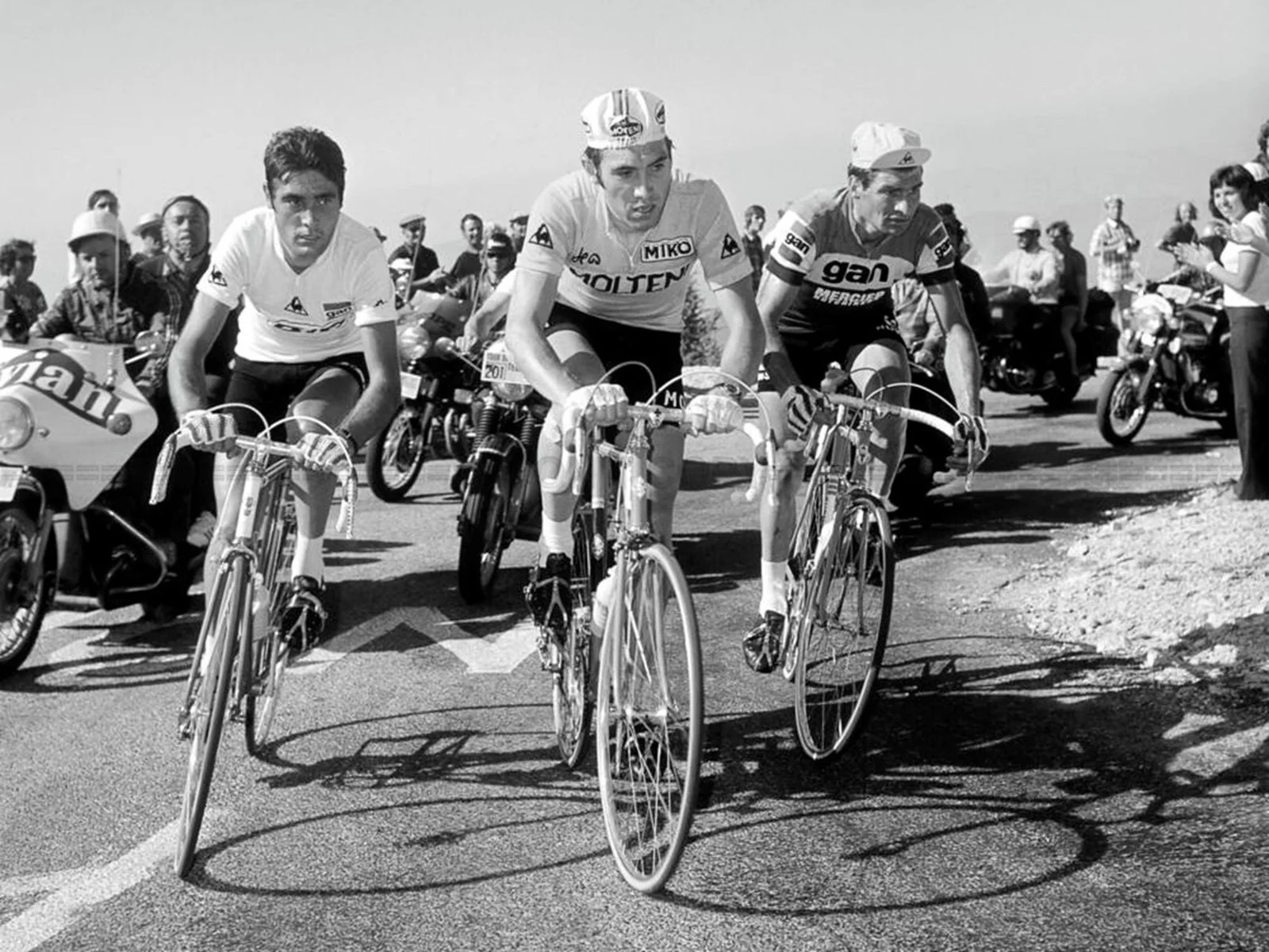 Photo Luis Ocaña, Eddy Merckx & Raymond Poulidor - Tour de France 1972 - 15x20