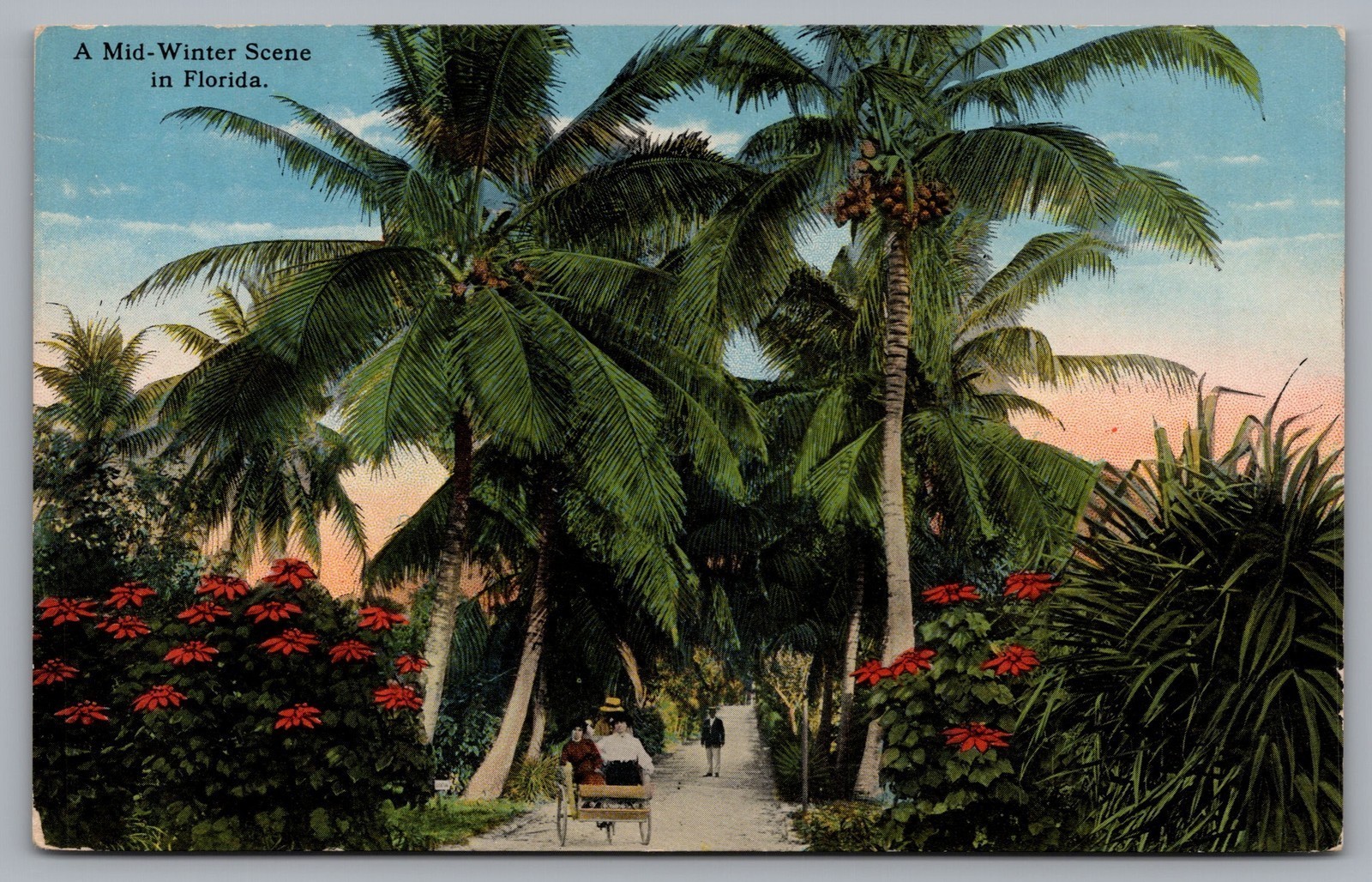 A Mid Winter Scene in FL Jacksonville Vintage Postcard TS-213