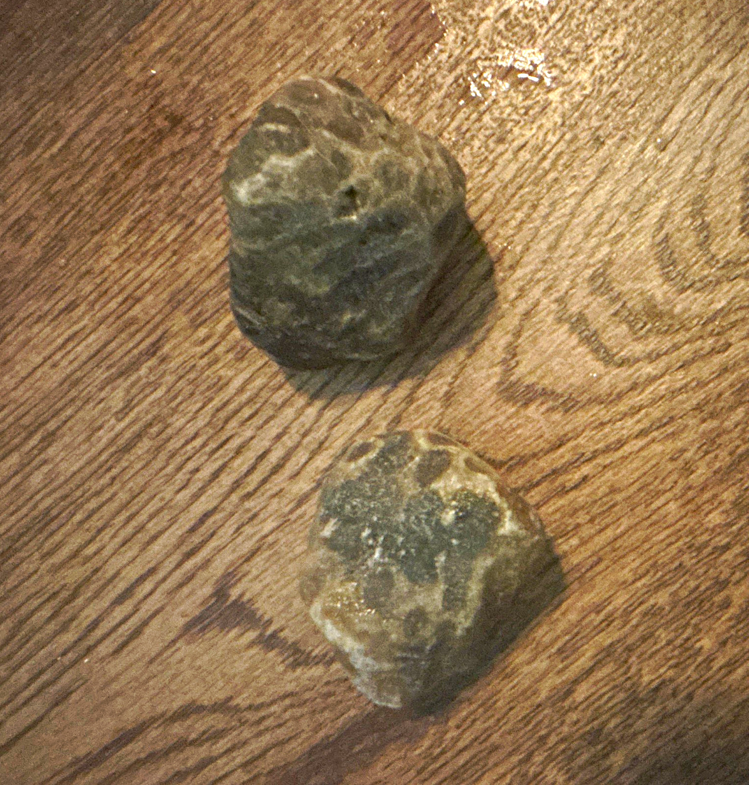 Lot of 2 Natural Rough Rock & Mineral Specimens Gray/Green Stones