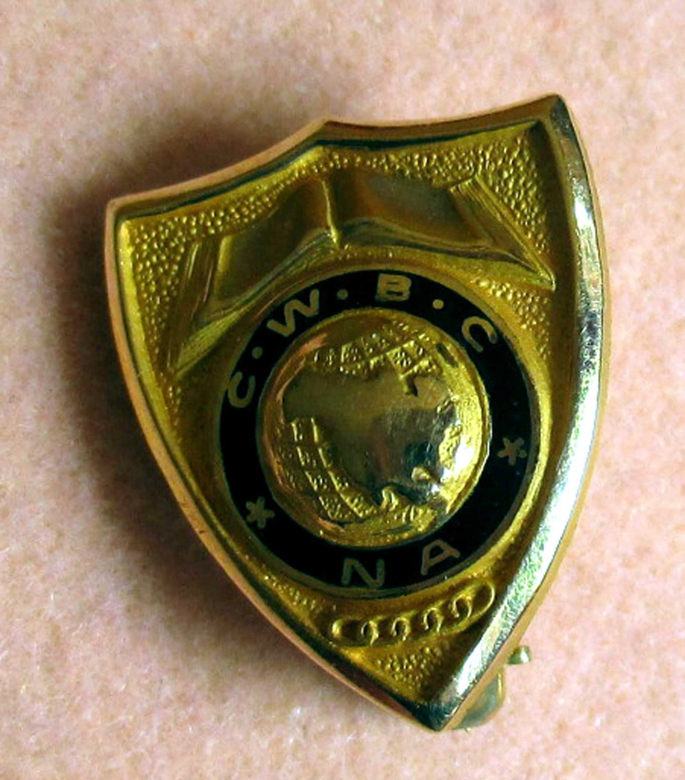 true Vintage Estate 1/10 10K GOLD C.W.B.C. NA TINY LAPEL PIN  
