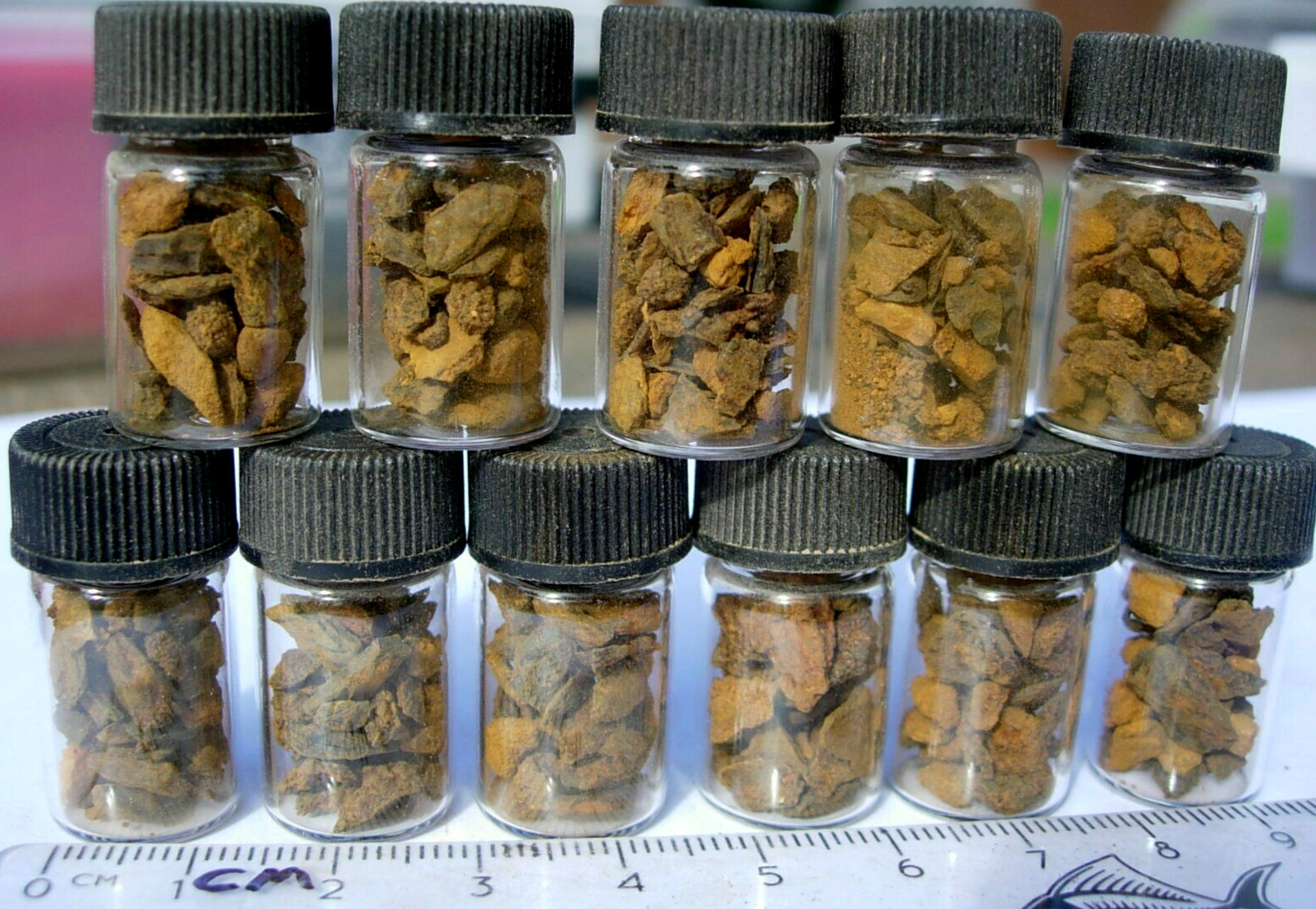 1 jar of 3+ grams of Dronino Oxide fragments oxidite Meteorite Russia low iron