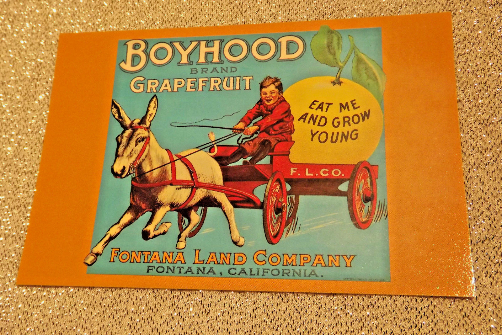 Boyhood Brand Grapefruit Vintage Fruit Crate Label postcard w/ Donkey & cart