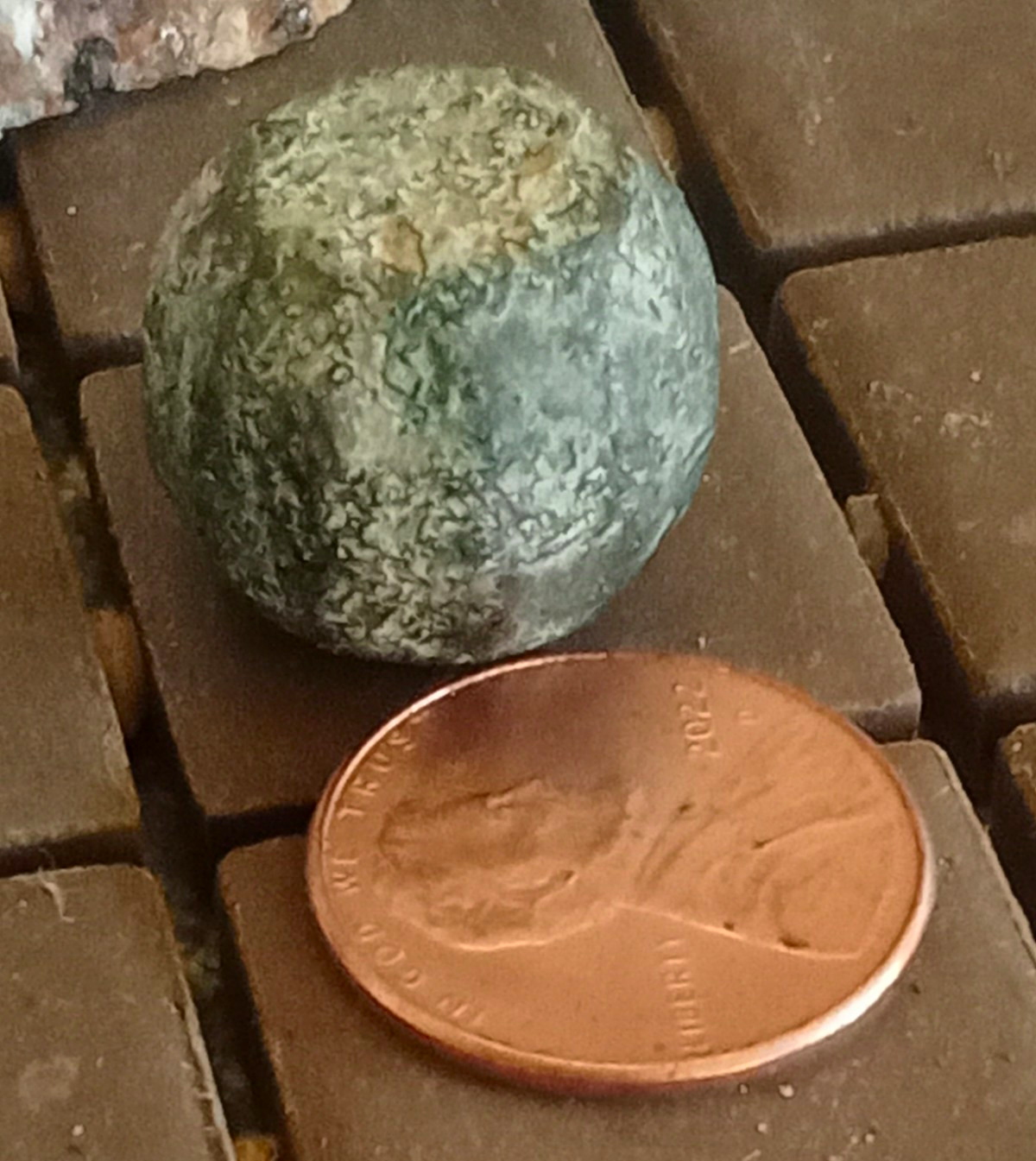Small Green Mottled Spherical Stone Rock Mineral Specimen - Penny for Scale