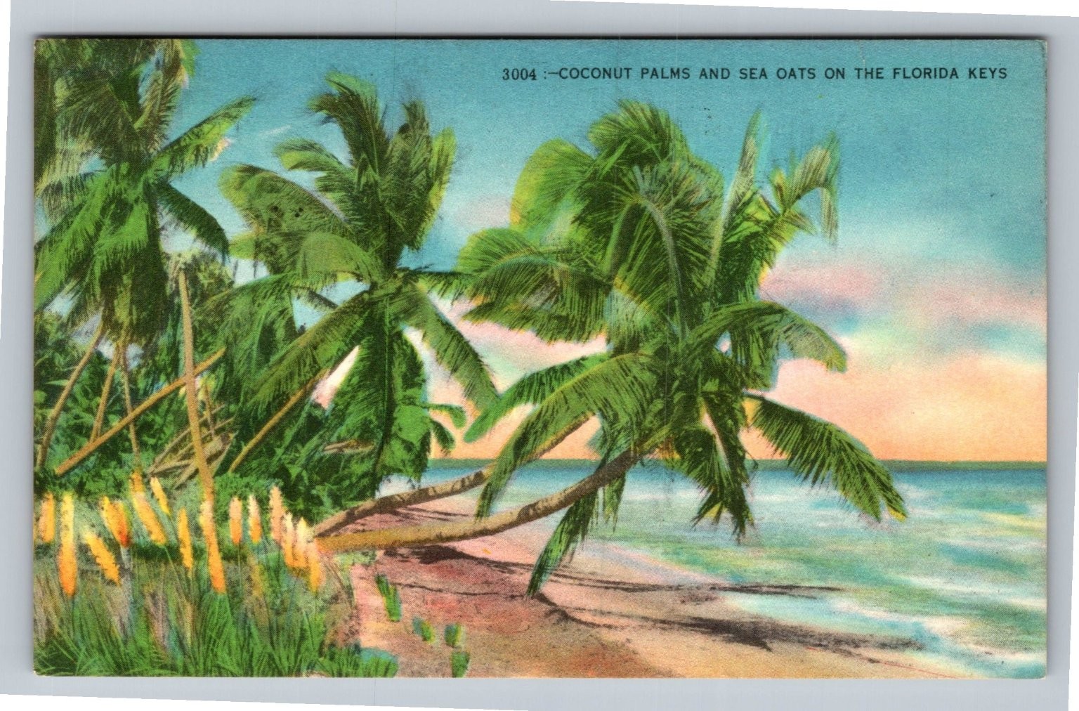 Vintage Florida Keys Coconut Palms Sea Oats Beach Linen Postcard 1940s-50s