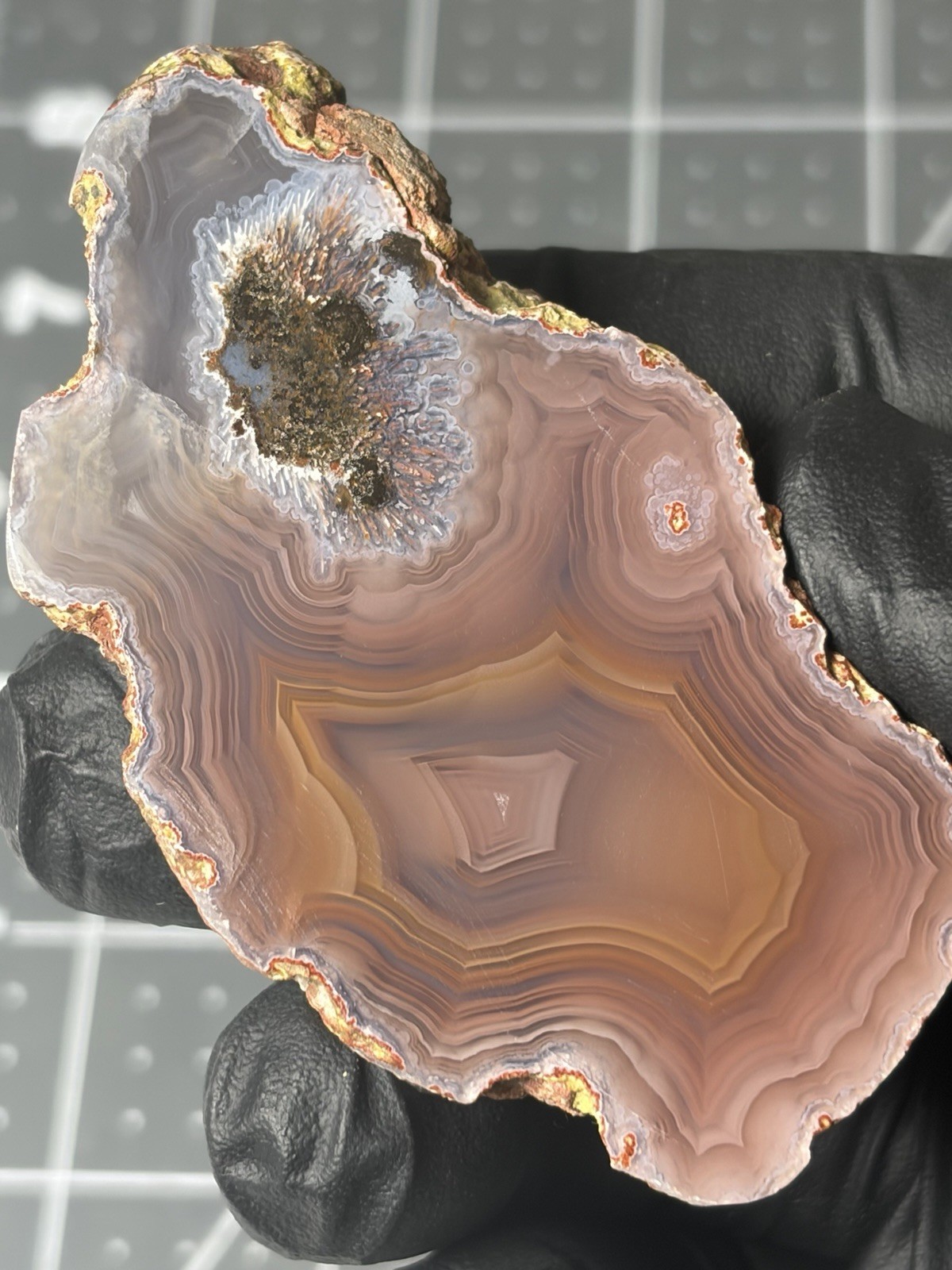 Beautiful Laguna Agate Polished Specimen Banding
