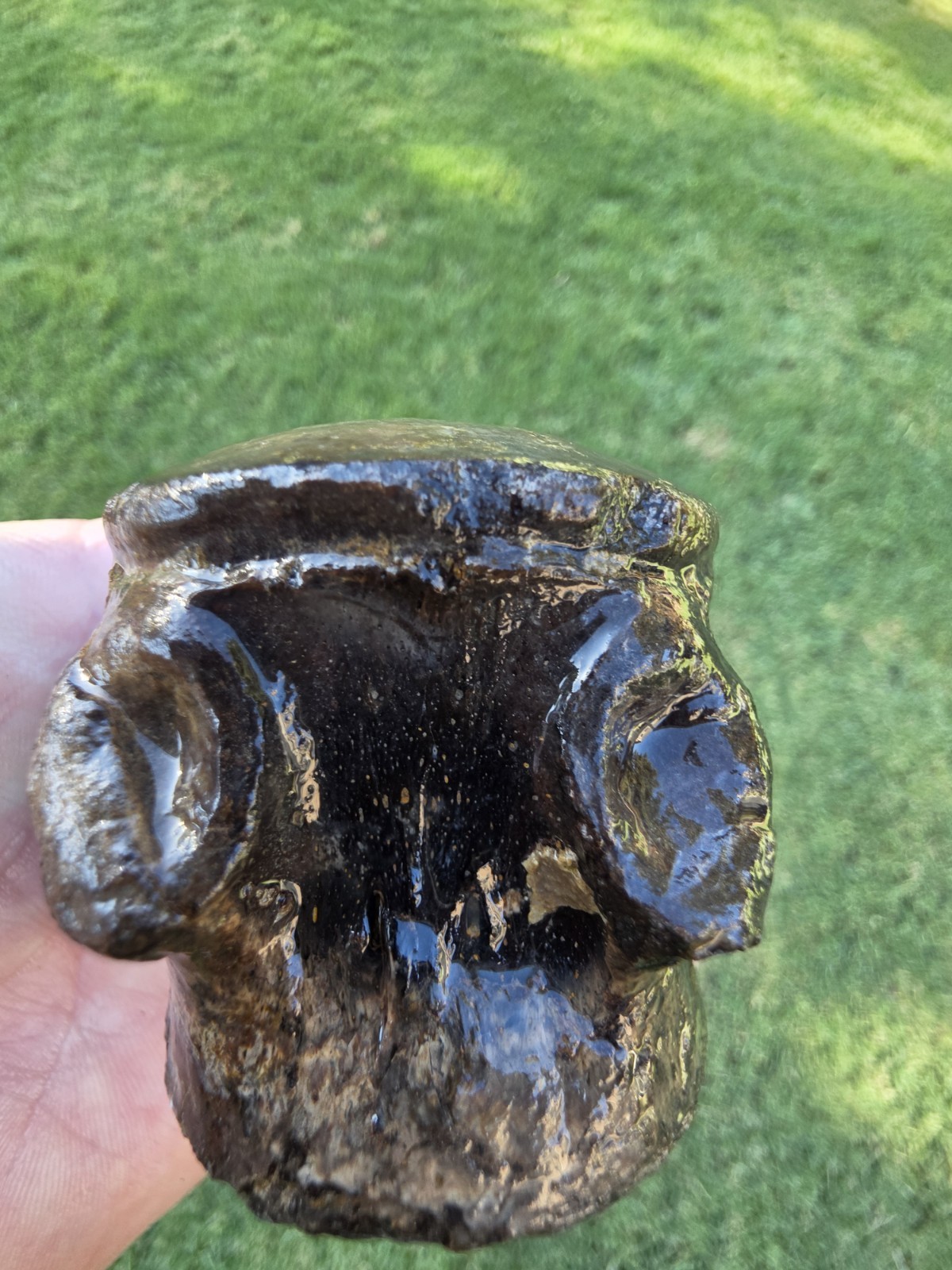Freshly Eroded Platecarpus? Mosasaur Pygal Vertebrae Gorgeous Ozan TX Fossil 