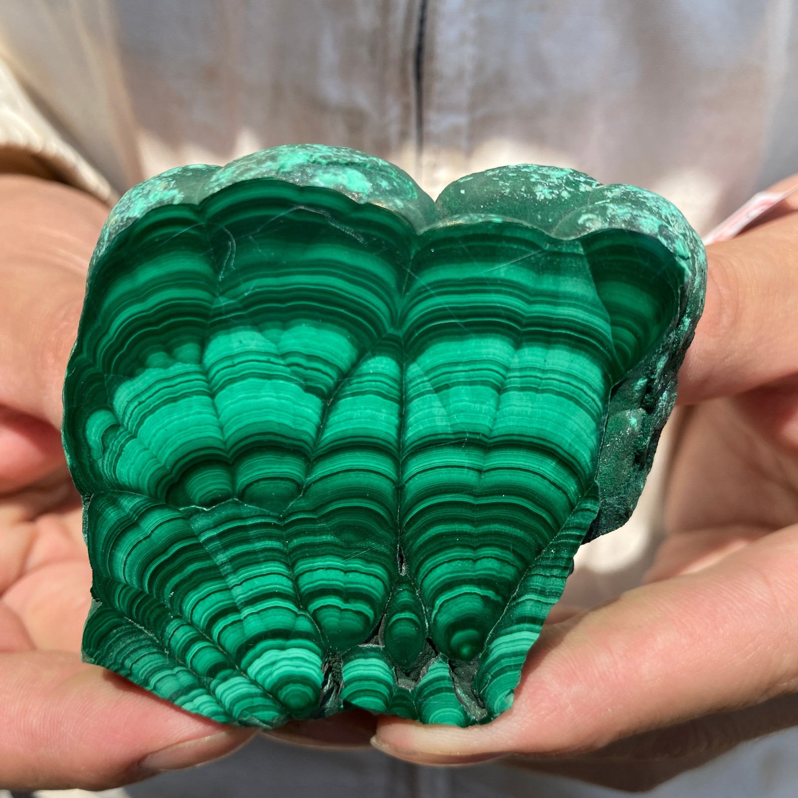 150g Beautiful Natural malachite crystal slice rough Gemstone Mineral specimen