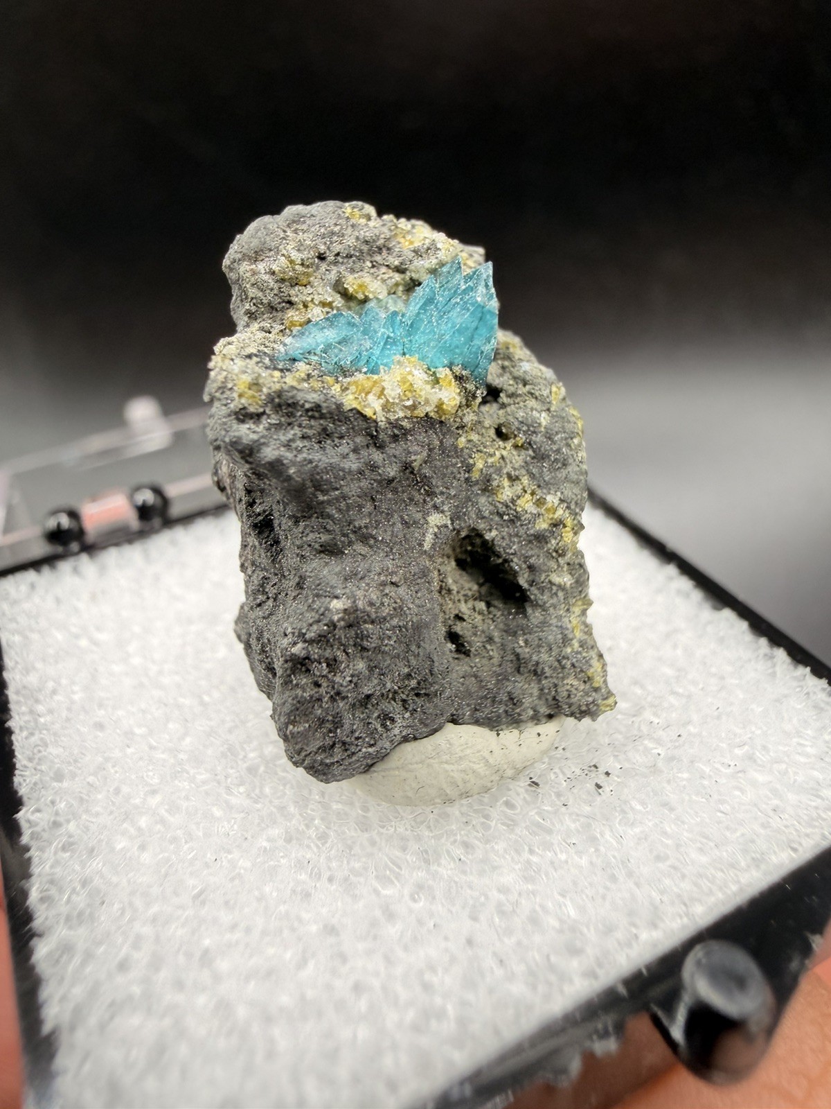 Very Rare Gemmy Borcarite Cluster on Matrix (Thumbnail) - Charcas, Mexico