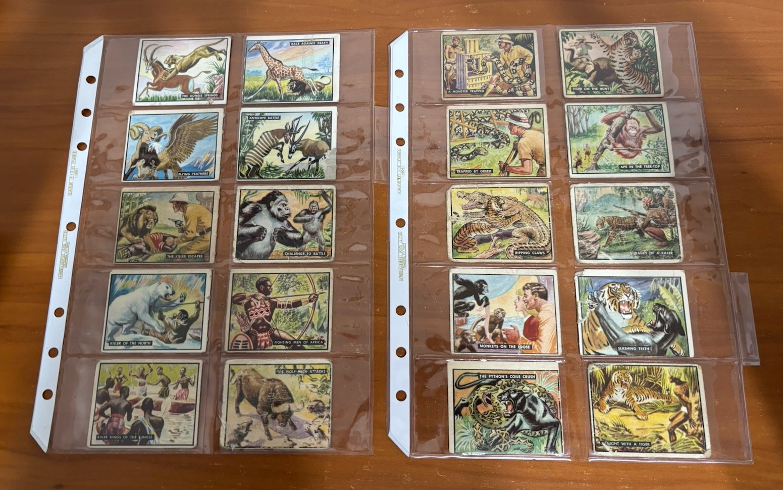 VINTAGE BRING EM BACK ALIVE CARDS TOPPS 1950 LOT OF 20 CARDS
