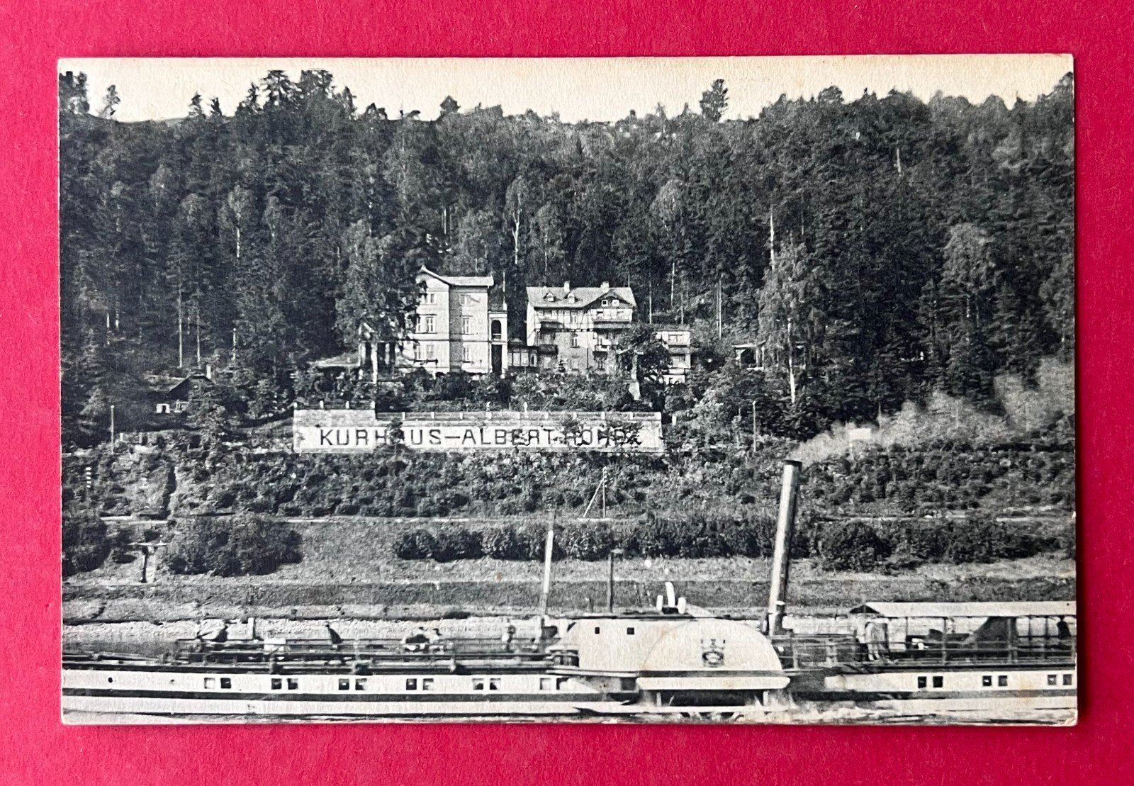 Postcard Bad Schandau around 1910 Kurhaus Alberthöhe with Elbe steamer (182867