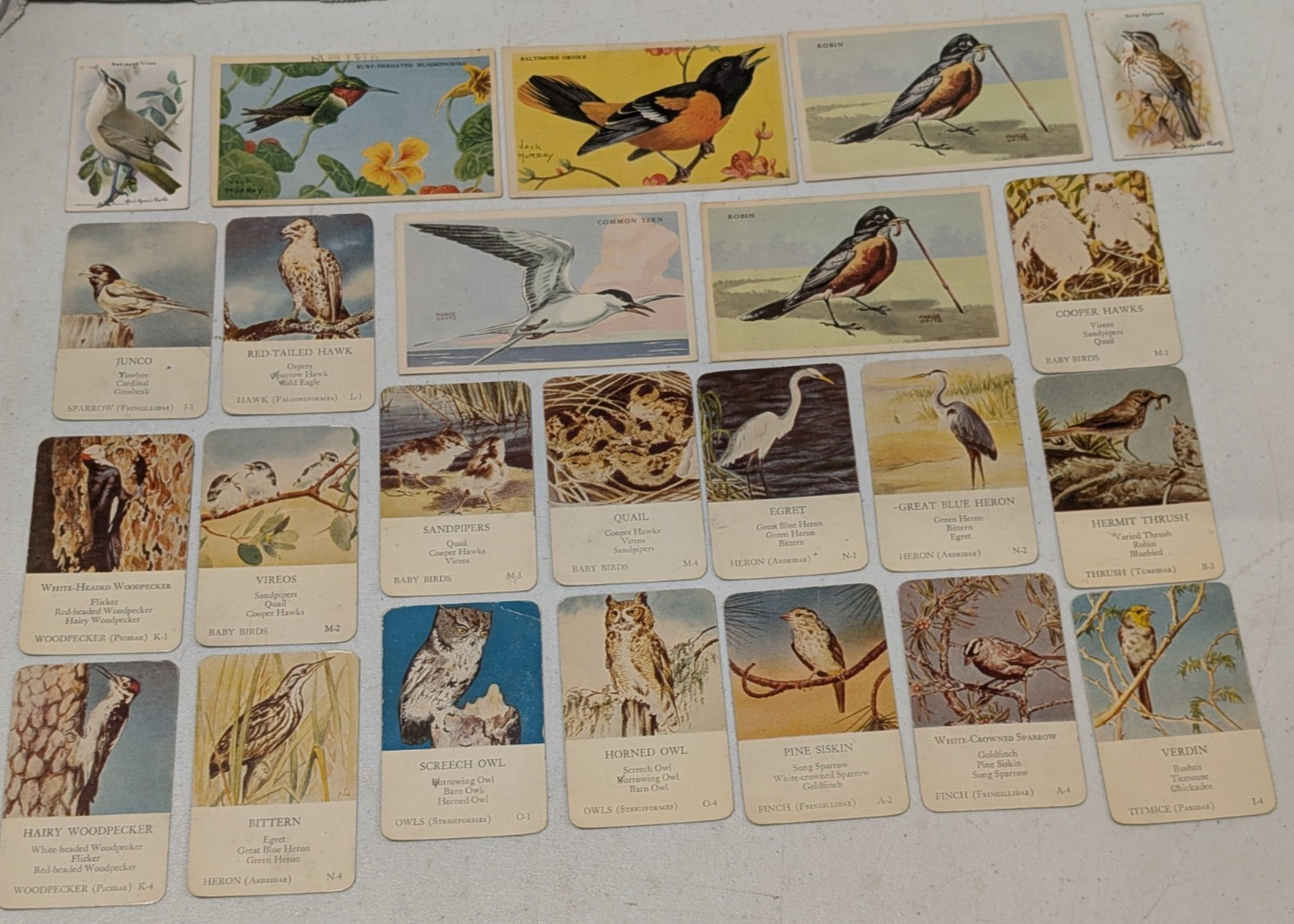 Vintage Antique Bird Ephemera Card Lot, Arm & Hammer & Kellogg\'s Cereal Inserts