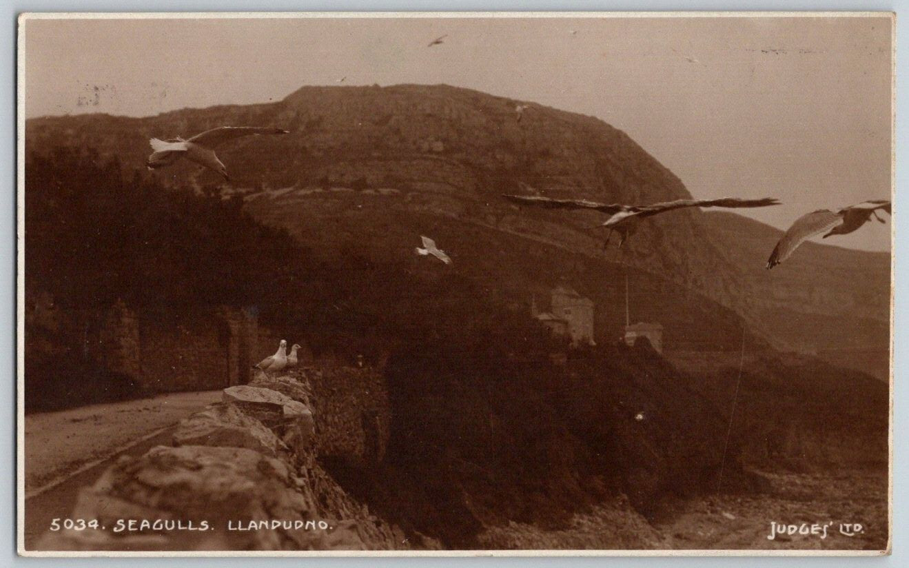 RPPC Postcard Llandudno Wales Seagulls Cliff Real Photo Posted 1925 Postmark