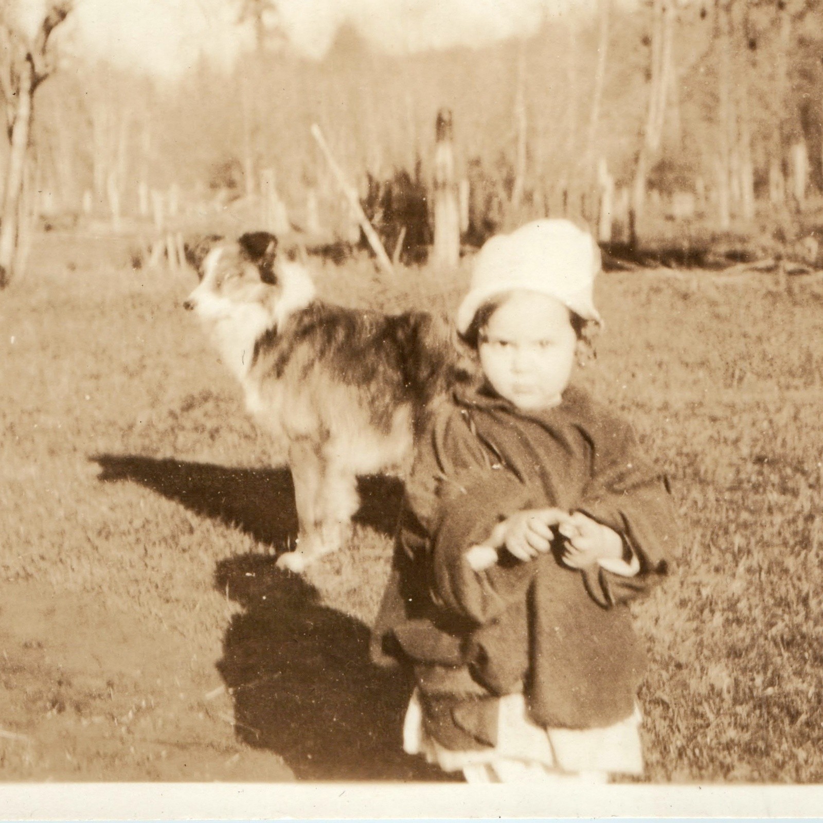 c1920s Toddler Girl Cloche Bonnet Coat Dog Collie Yard Orchard RPPC Postcard 779