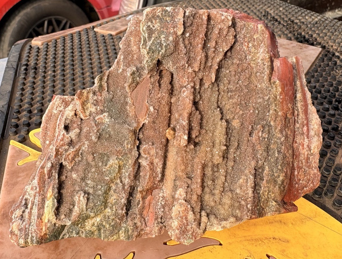 ☘️RR⛏️: Top Quality Druzy Arizona Rainbow Petrified Wood 1 Lb 10 Oz. 🌈