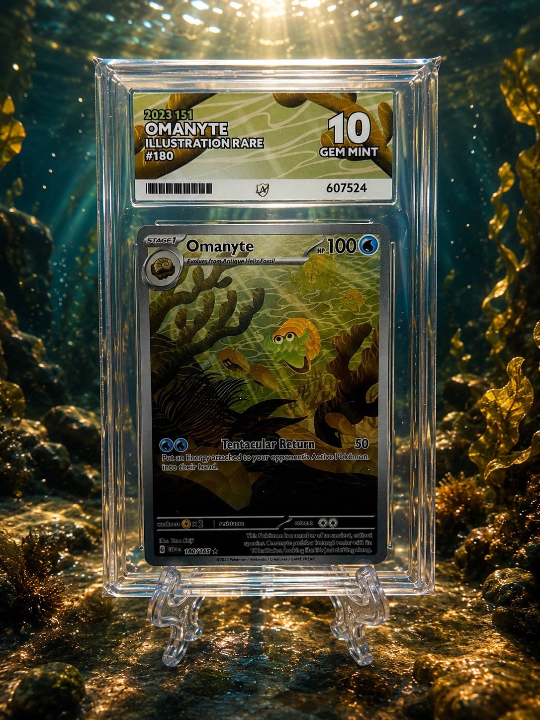 Omanyte 180/165 English Pokemon Illustration Ace 10 Gem Mint Omanyte 180/165 English Pokemon Illustration Ace 10 Gem Mint
