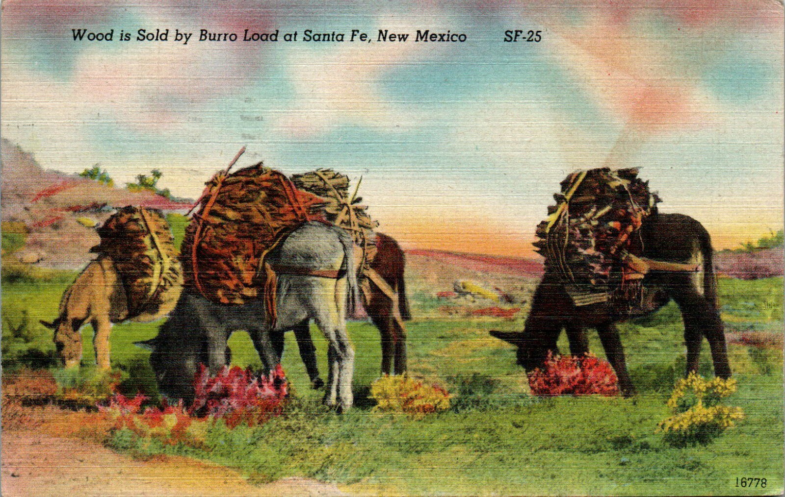 Wood Sold by Burro Load, Santa Fe, New Mexico NM 1947 linen Postcard