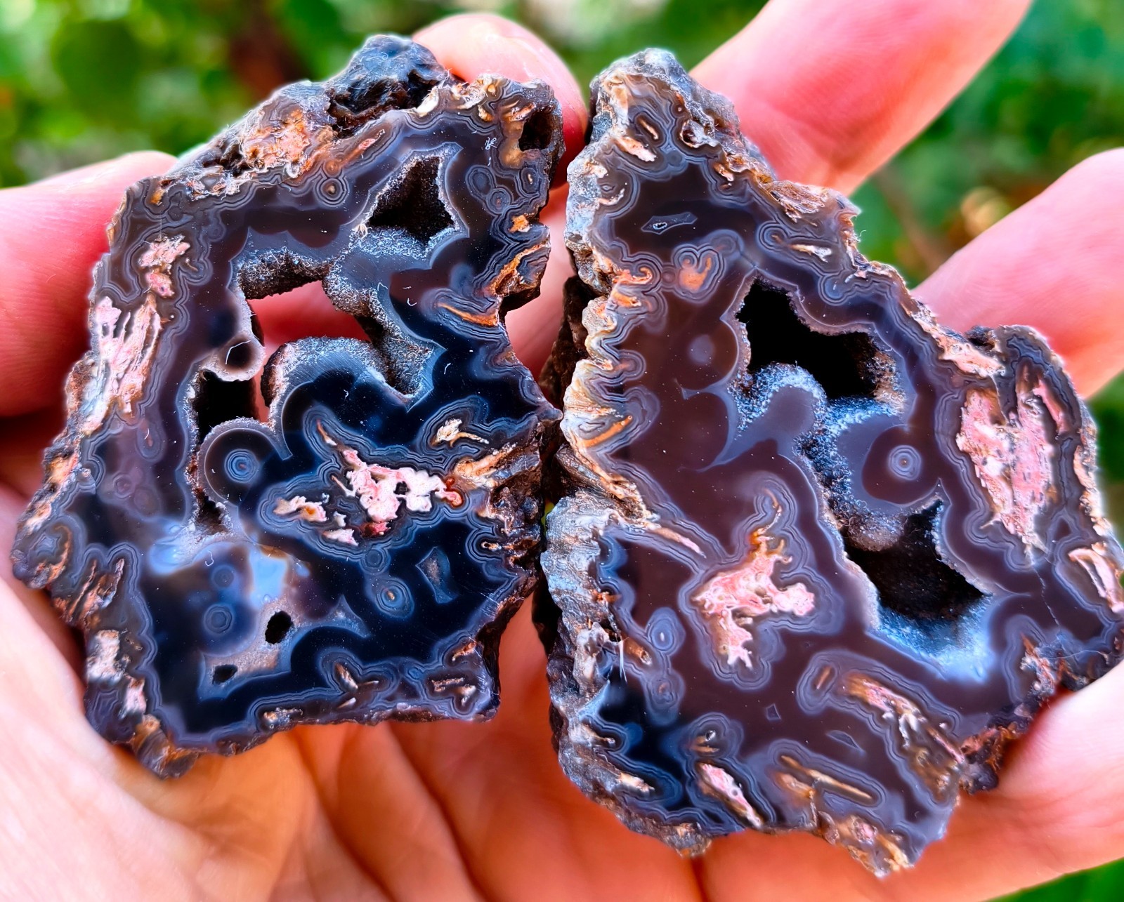 Mirrror Polished Black Lace Agate Pair