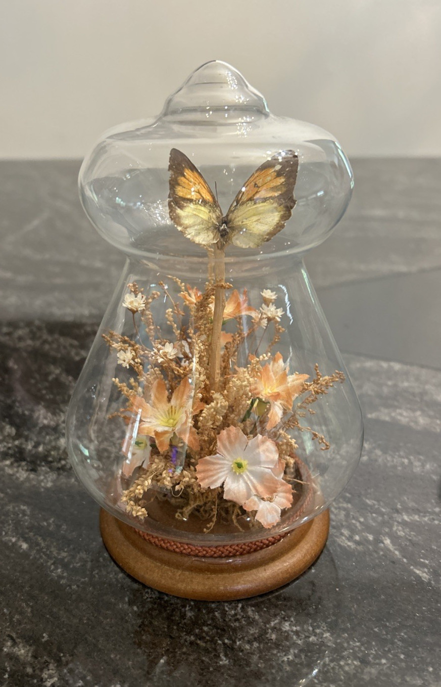 Vintage Dried Flowers & Real Butterfly Glass Dome Case Wood Base Vintage Dried Flowers & Real Butterfly Glass Dome Case Wood Base