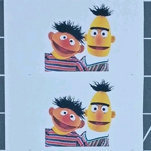 5-PCS BERT & ERNIE 1\