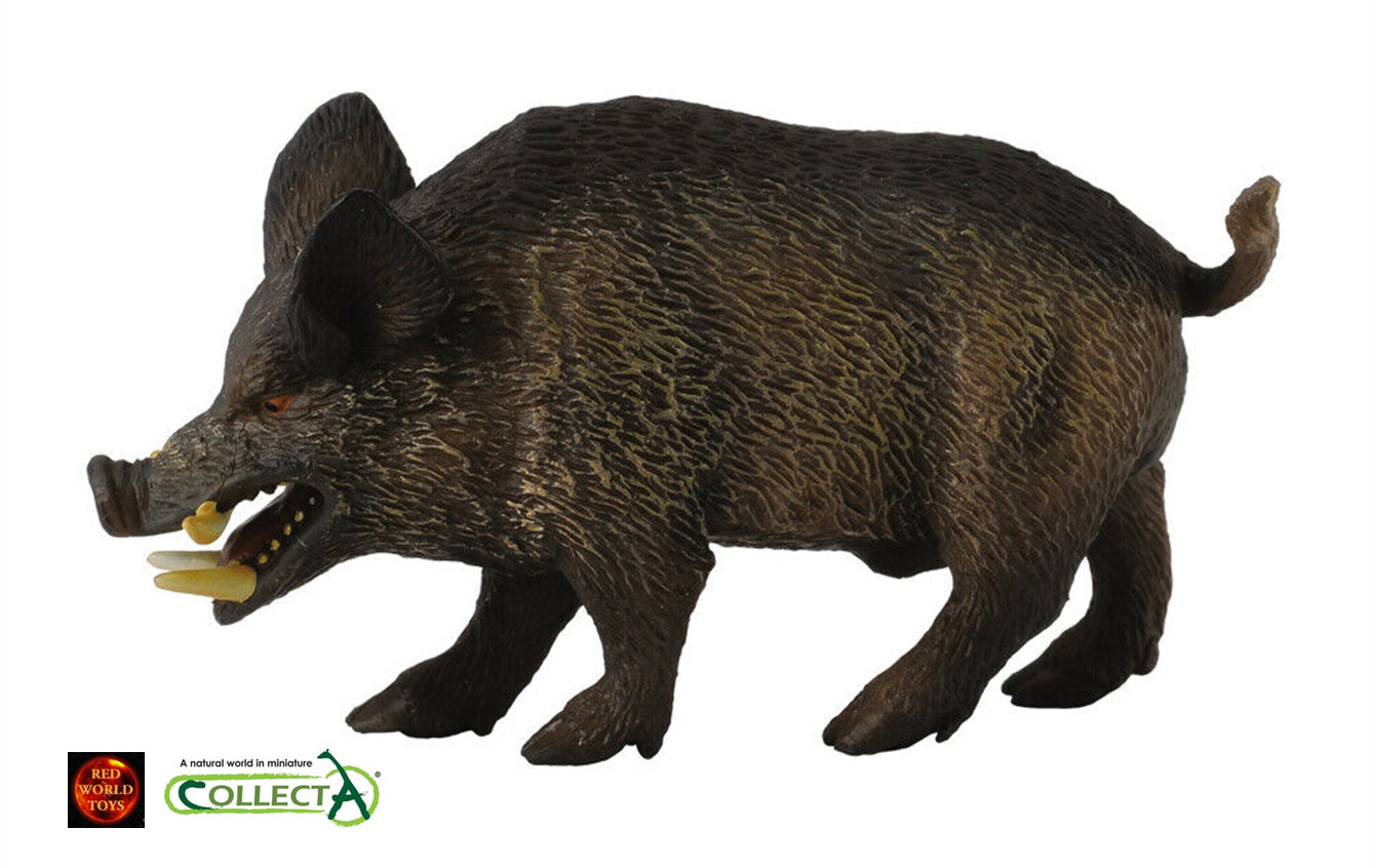 Wild Boar Sow Pig or Piglets Toy Model Figures by CollectA NEW