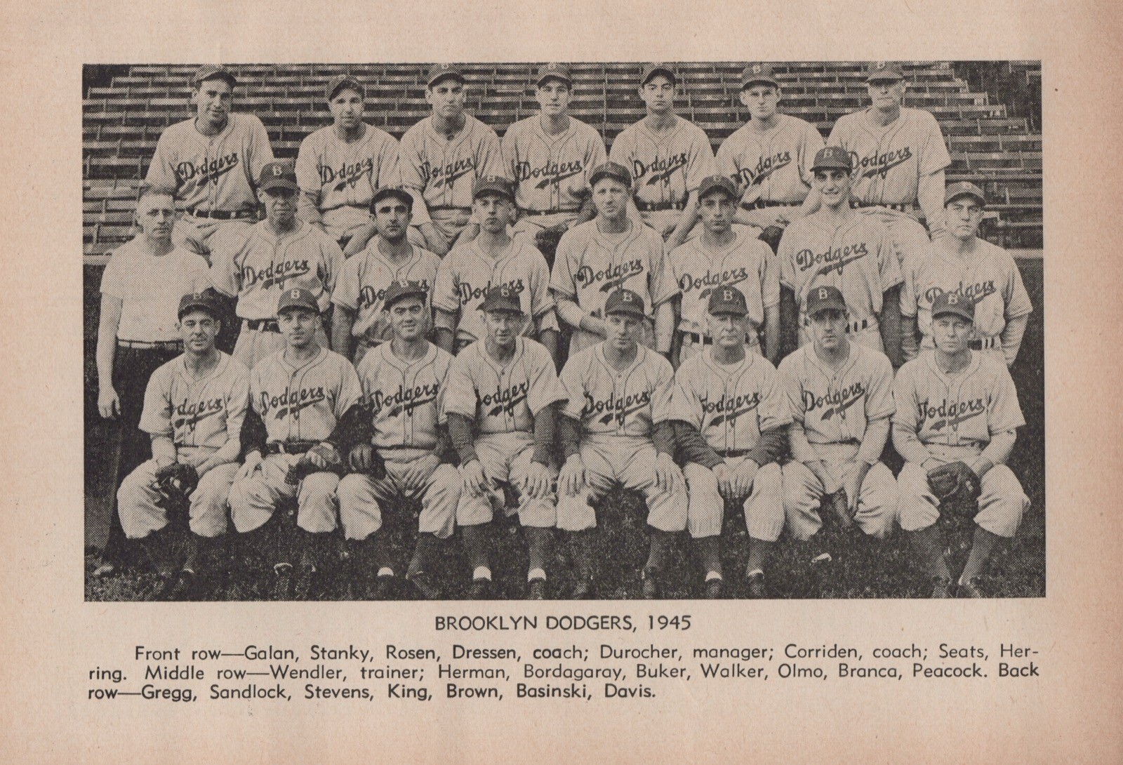 1945 Brooklyn Dodgers Baseball Team Photo Print 1940s 5x7\