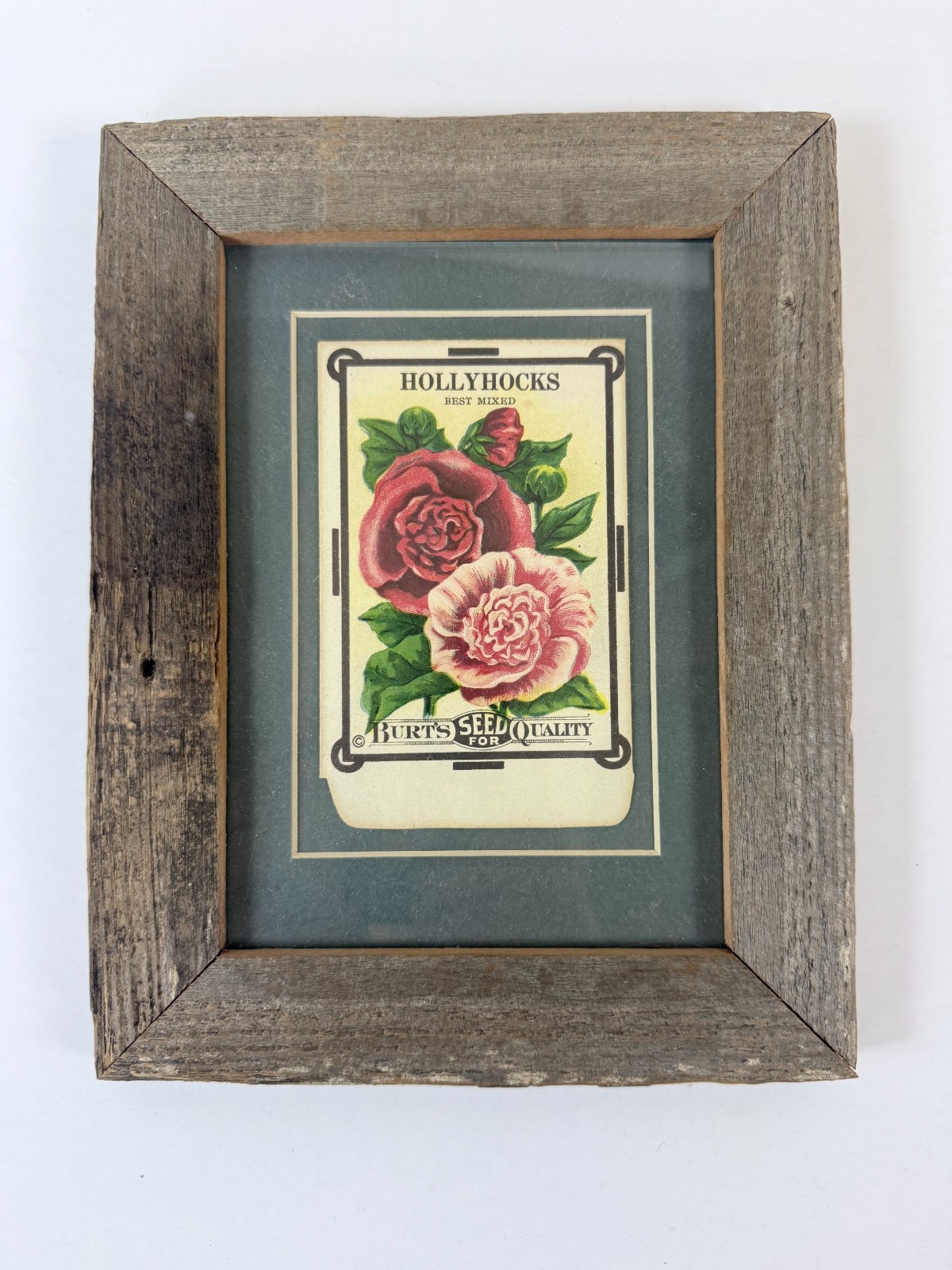 Antique 1915 Framed Original Stone Lithograph Seed Packet Burt\'s Hollyhocks