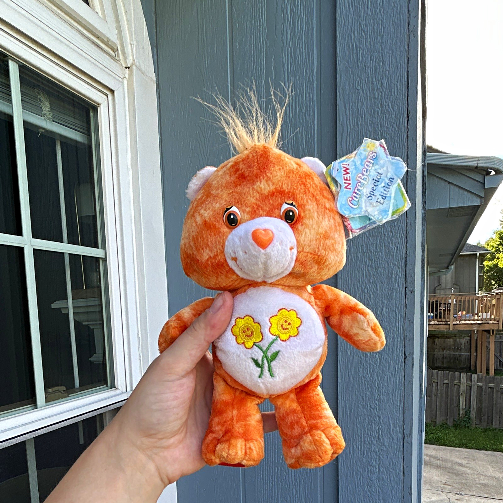 Vintage 2003 Care Bears Friend Bear Plush 8\