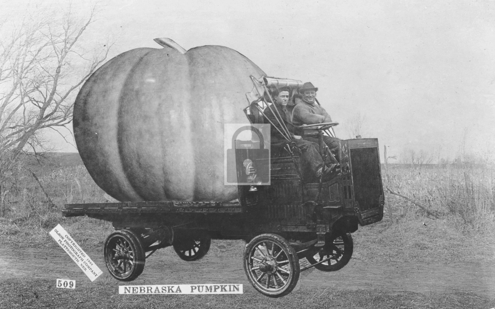 Exaggeration Pumpkin Plattsmouth Nebraska NE - Reprint