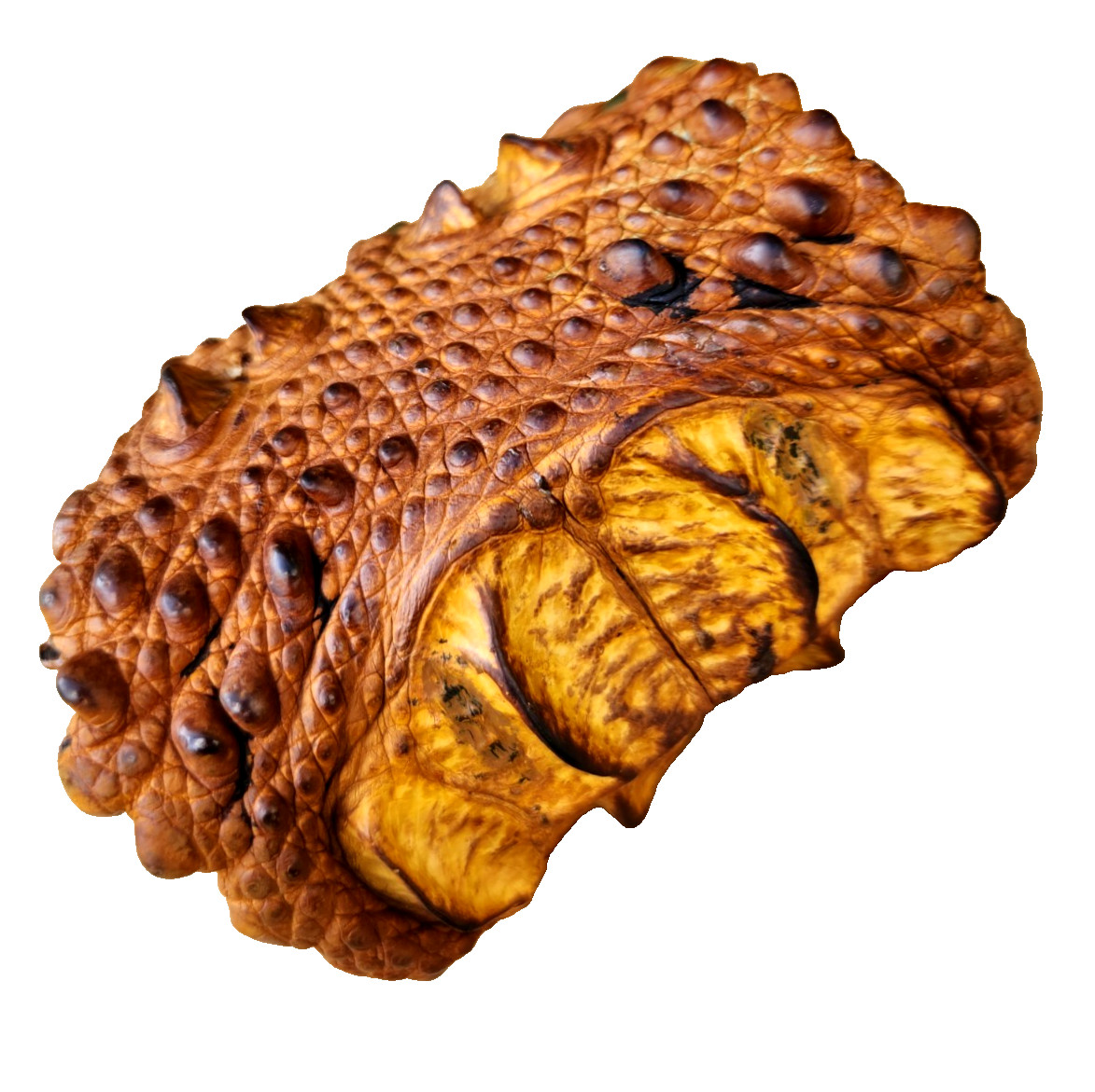 Genuine Alligator scutes leather men arm guard cuff bracelet large  adjustable