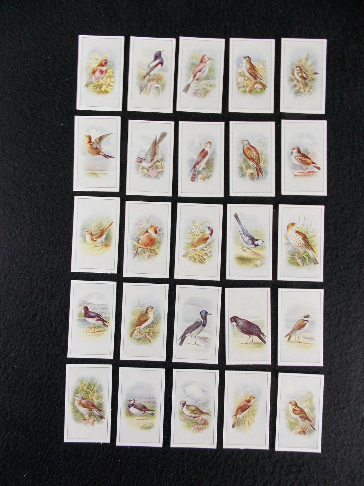 PJ Carrol Cigarette Cards Birds 1939 Complete Set 25