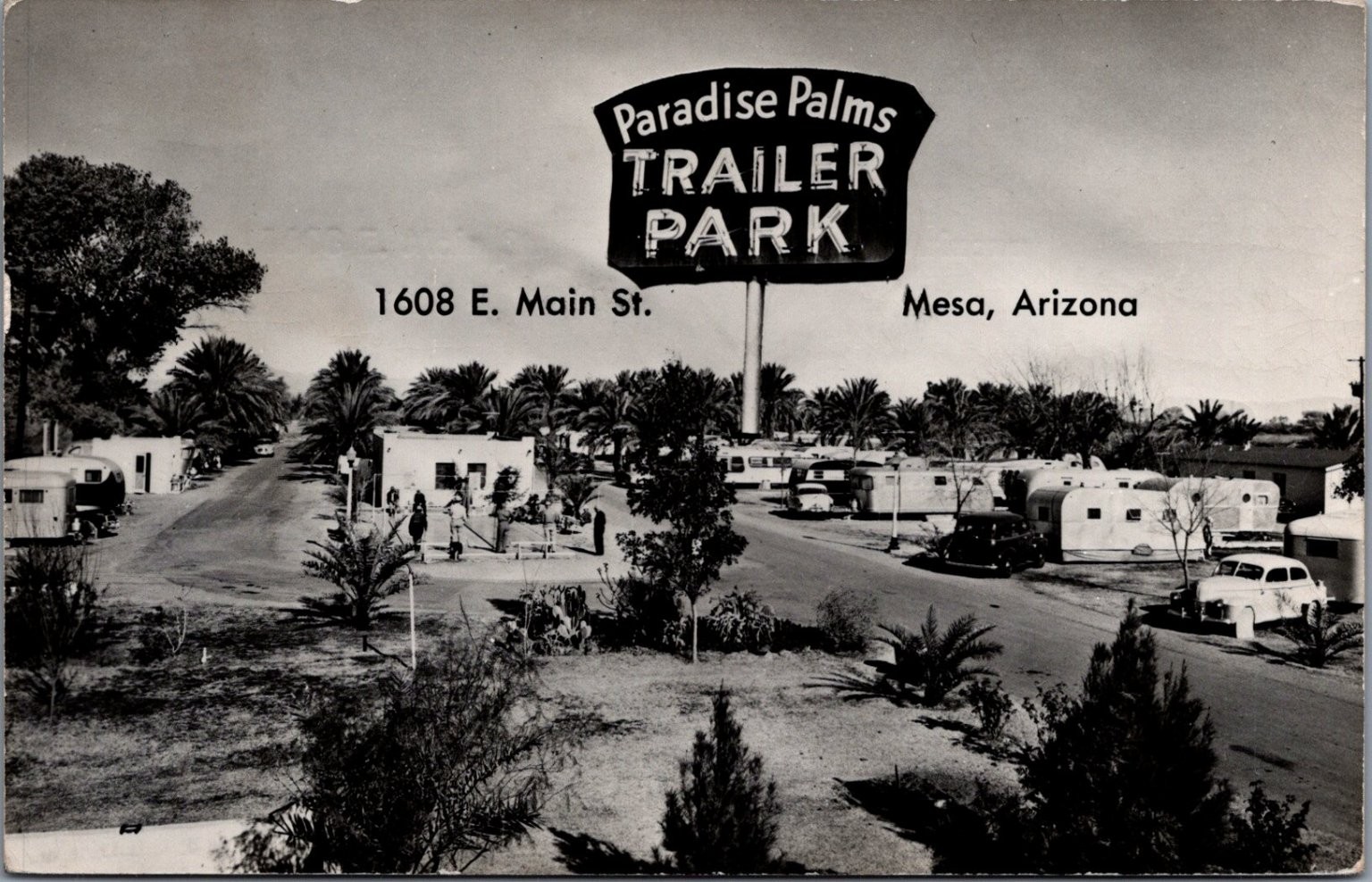 Paradise Palms Trailer Park Mesa AZ 1954 Vintage RPPC Postcard Paradise Palms Trailer Park Mesa AZ 1954 Vintage RPPC Postcard