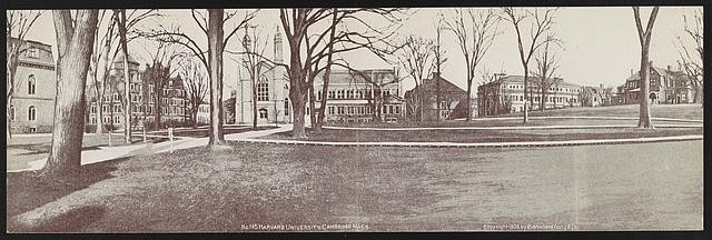 Cambridge Massachusetts Harvard University Gore Hall Commons 1900s Postcard