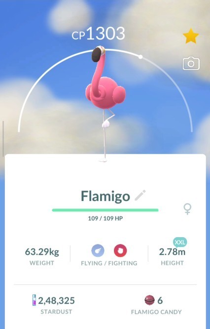 POKEMON GO | Non Shiny Flamigo XXL 2.78m  | NEW PTC | Fast & Safe