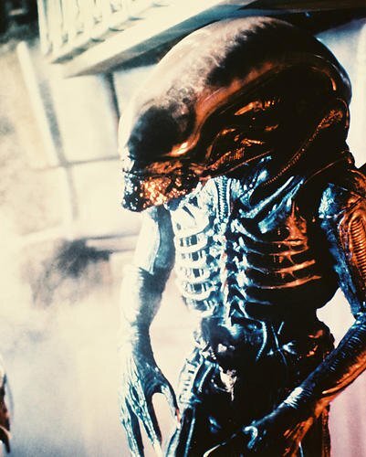 Alien Bolaji Badejo 11x14 inch Poster