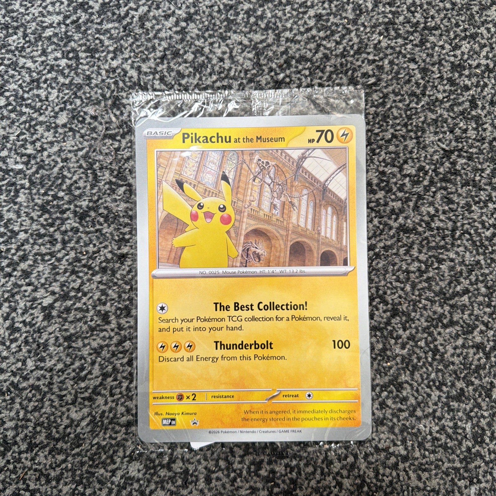 Pokémon National History Museum NHM Pikachu Jumbo Promo Sealed 