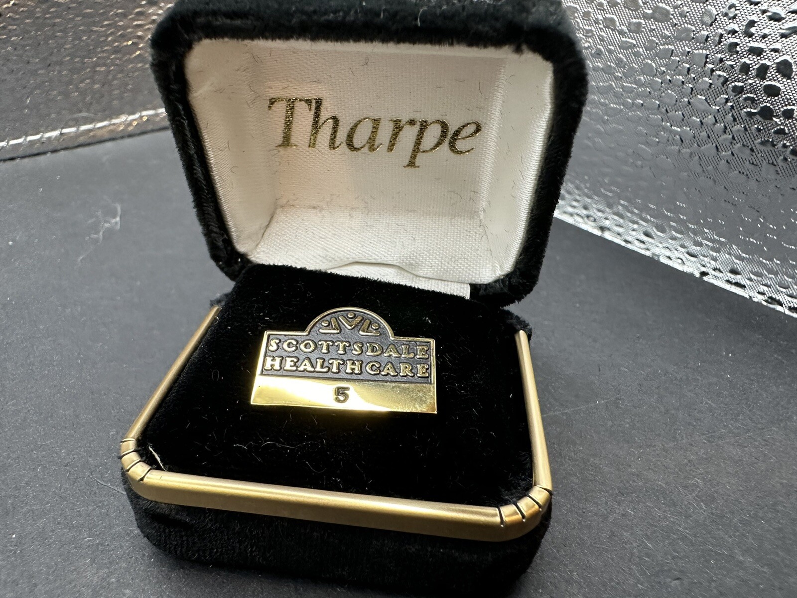 Scottsdale Healthcare 5 Year Employee Service Award Lapel Pin Arizona Scottsdale Healthcare 5 Year Employee Service Award Lapel Pin Arizona