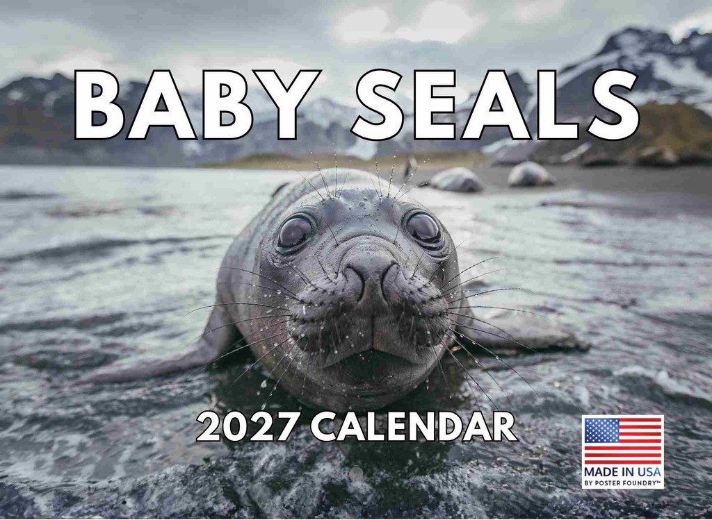 Baby Seal Calendar 2027 Monthly Wall 12 Month