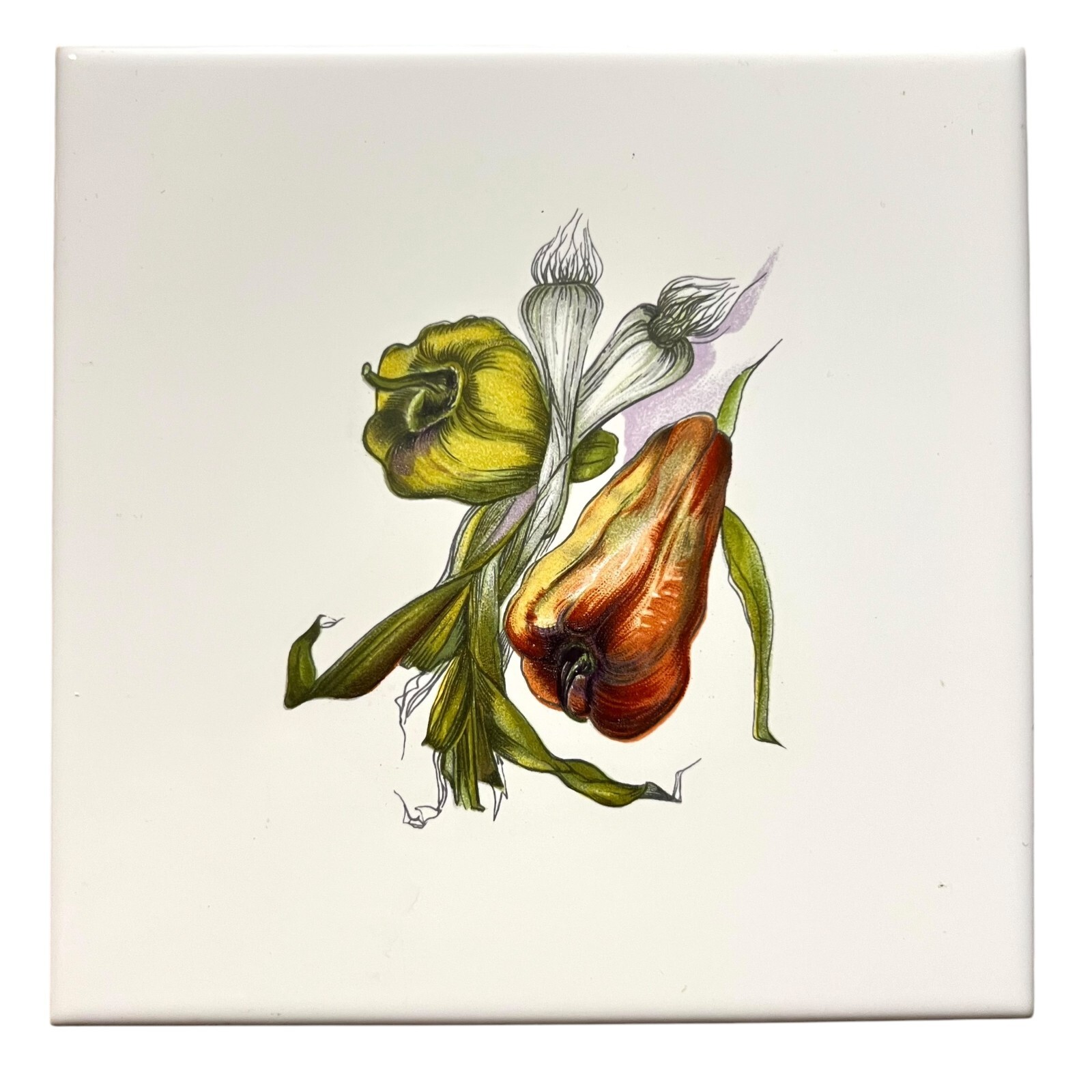 Vintage Coop Ceramica Imola Italian Vegetables Decor Ceramic Tile 6 in Italy